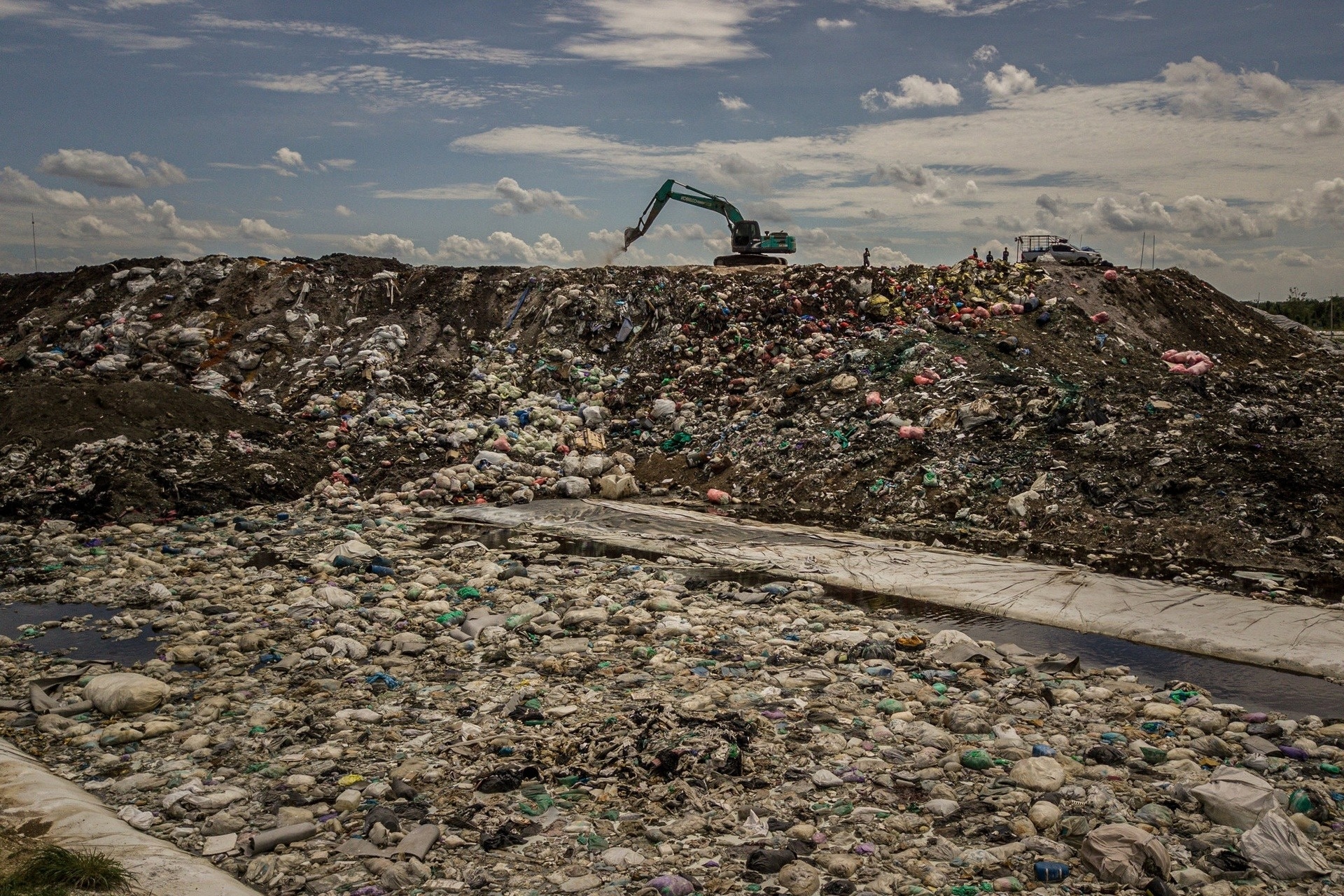 Hiem hoa dang sau con sot AI hinh anh