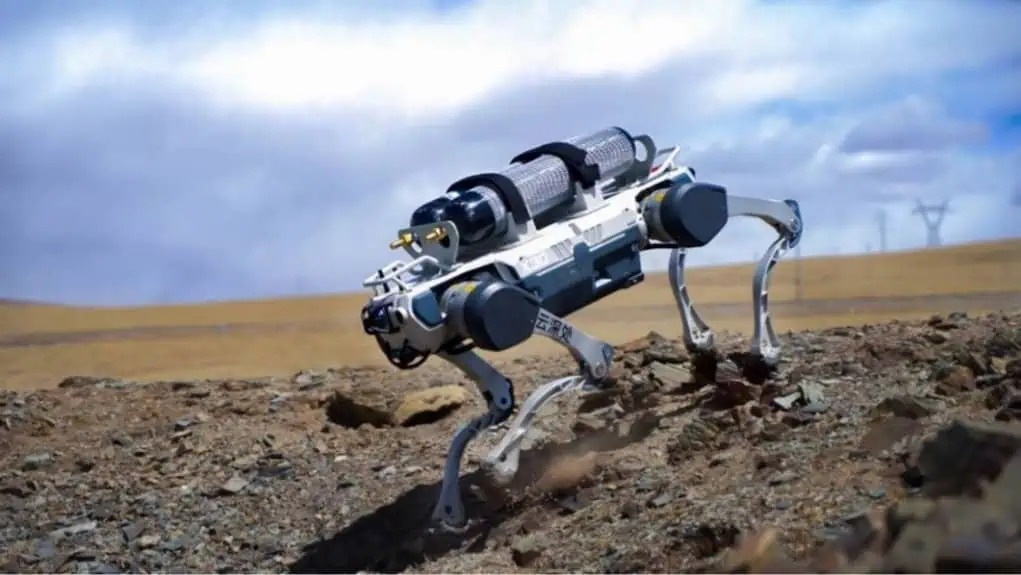 Robot cho xuat hien day dac o Singapore hinh anh