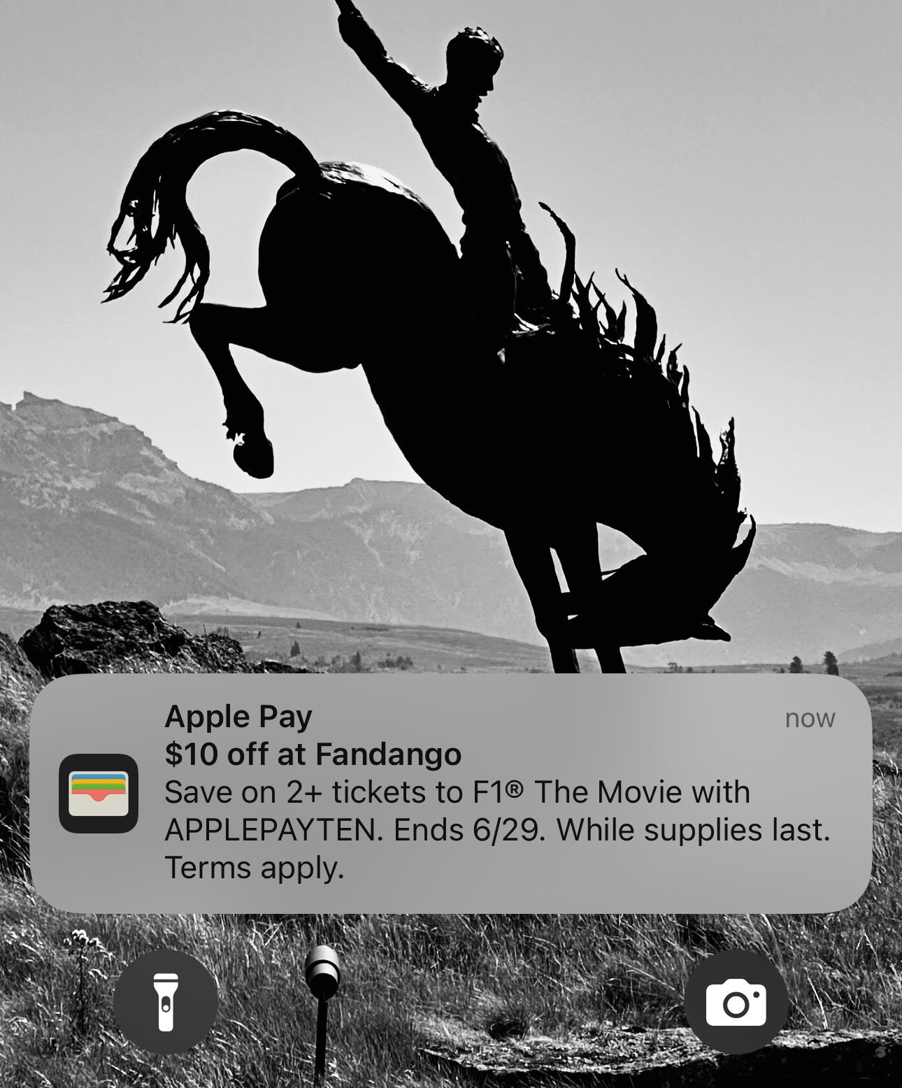 Apple bi phan doi hinh anh