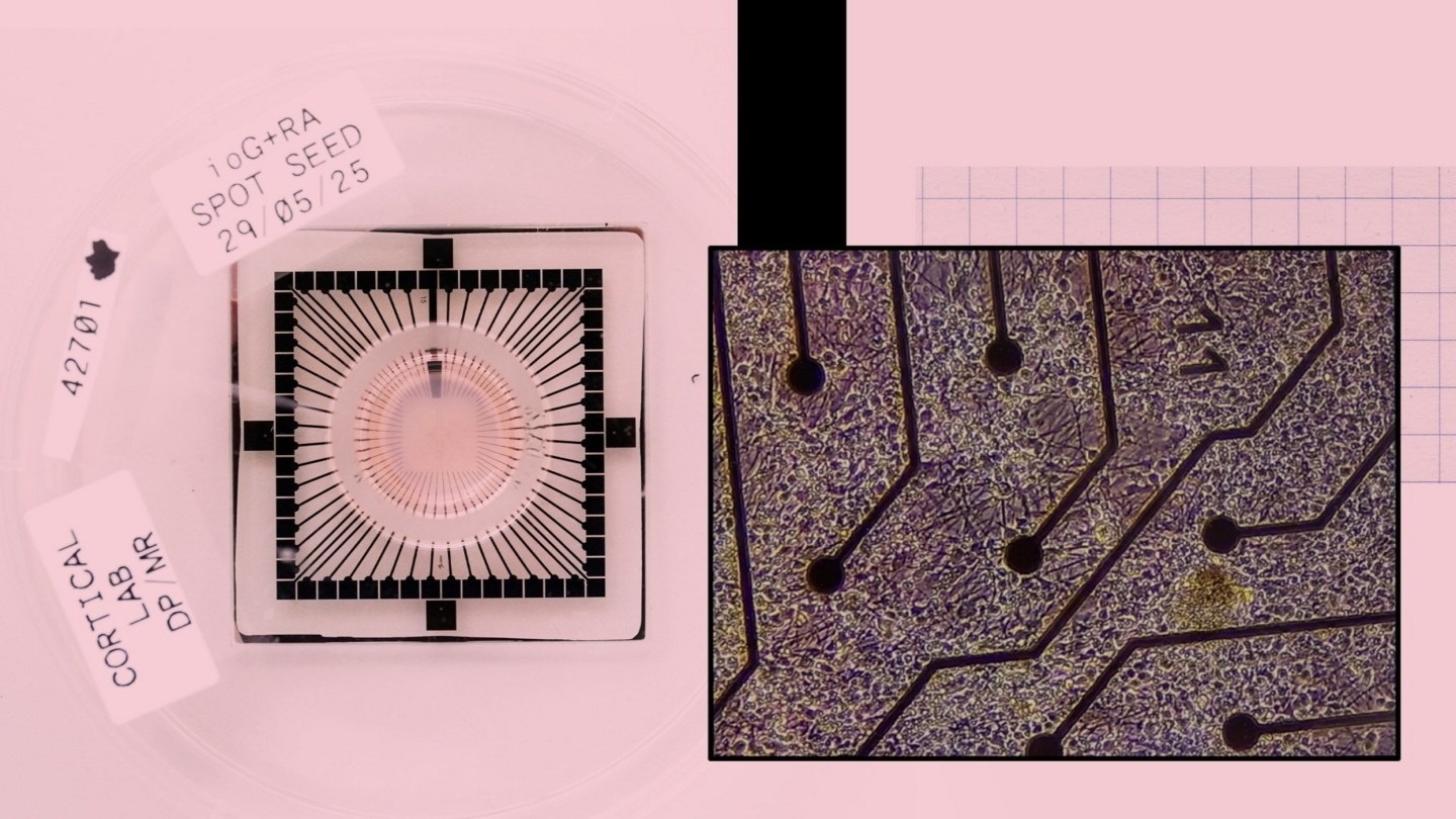 Ben trong noi tao ra may tinh chay bang te bao nao song hinh anh