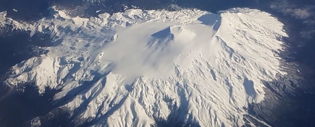 Hiem hoa moi tu bang tan hinh anh