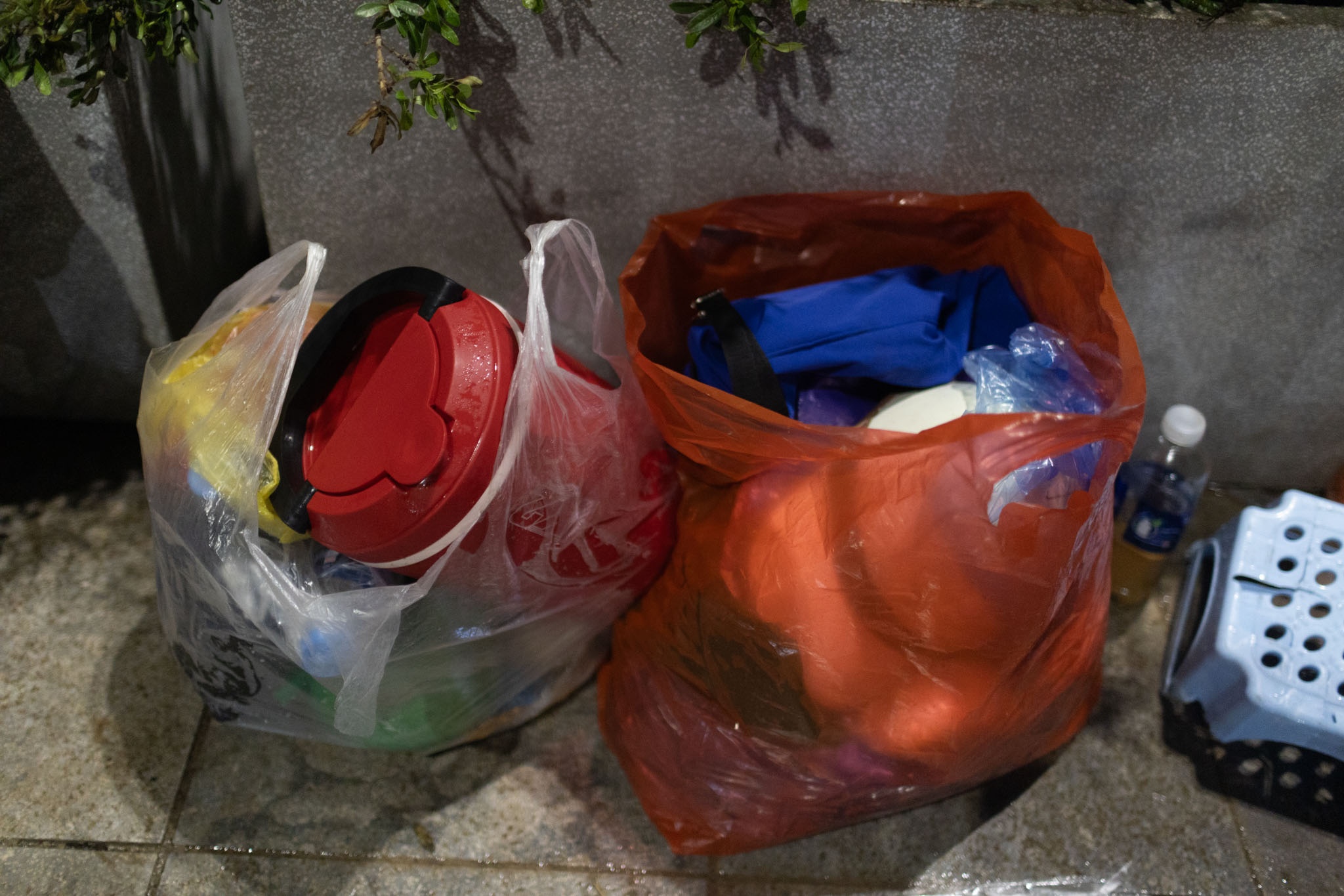 cam trai dieu binh anh 6