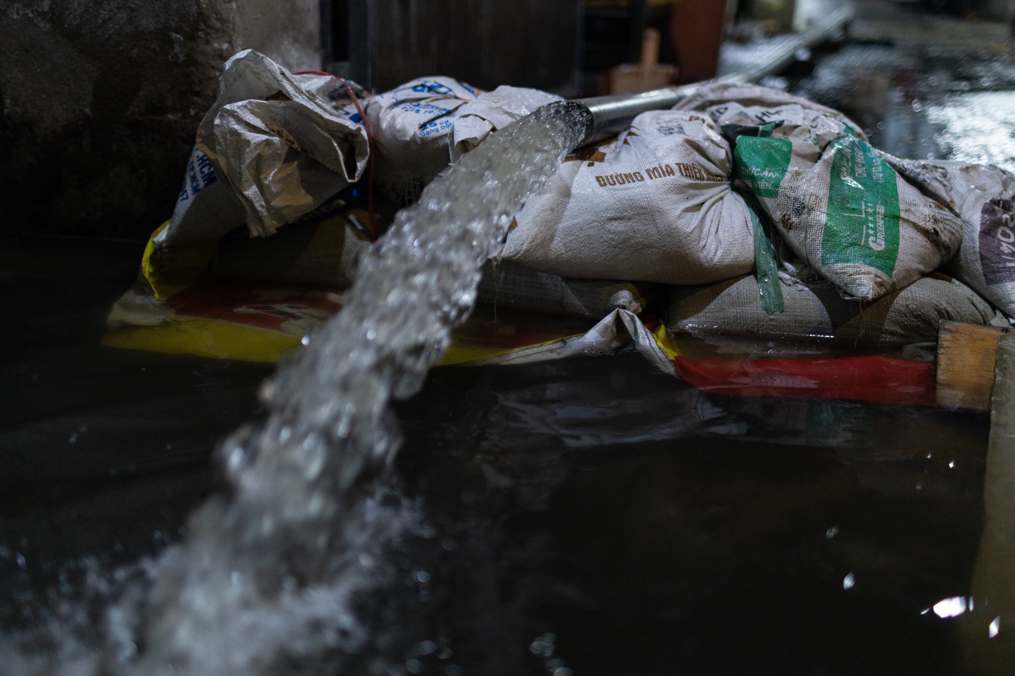 trieu cuong Thanh Da anh 4