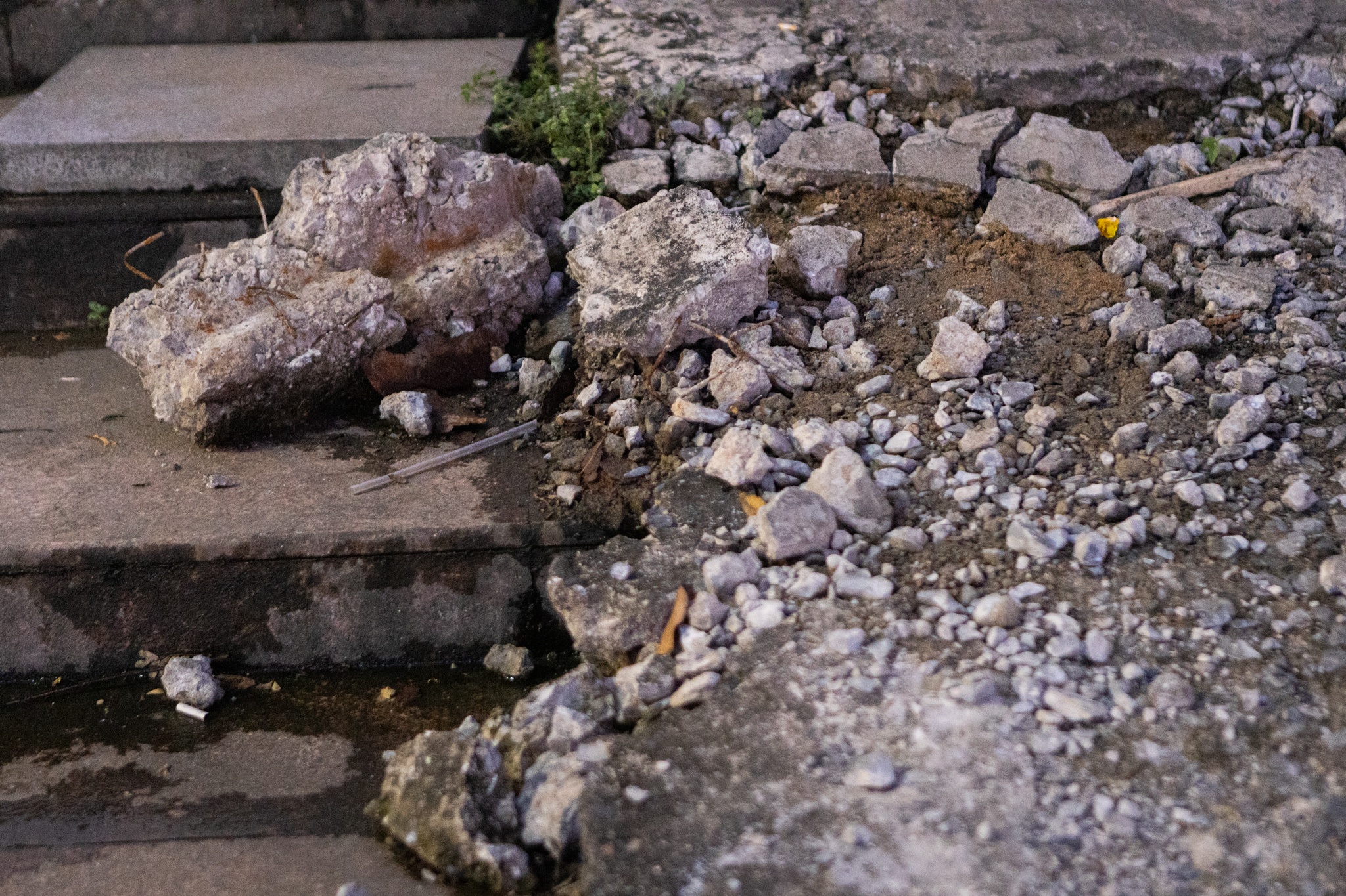 san khau Sen Hong TP.HCM anh 7