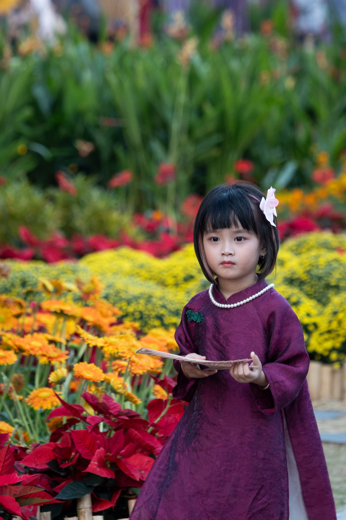 vườn hoa ga ba son ảnh 6 vuon hoa ga ba son anh 6