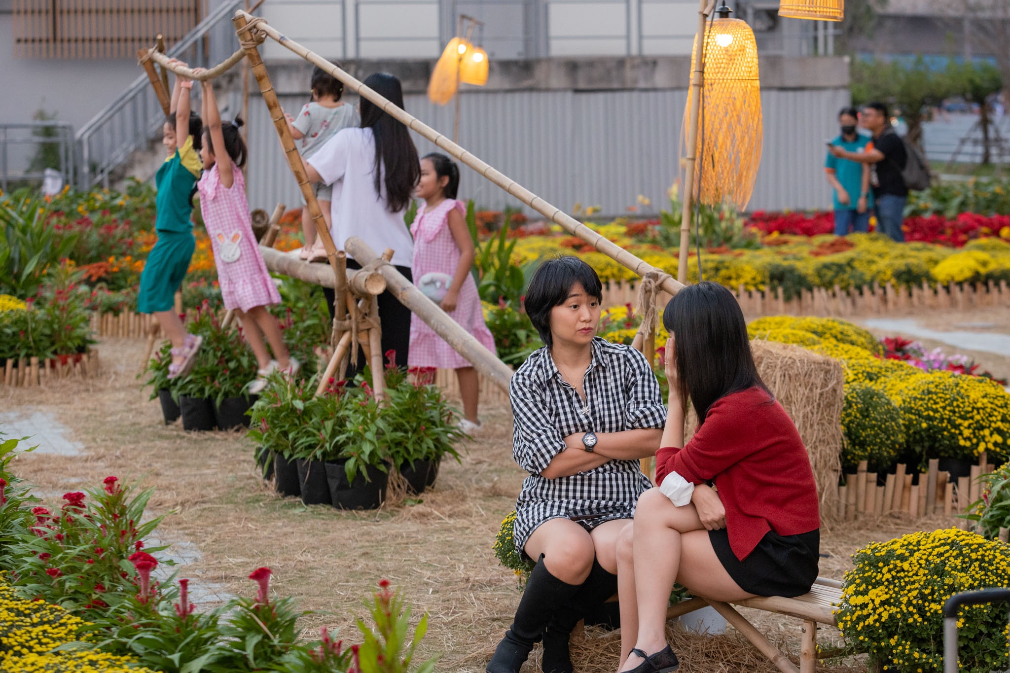 vuon hoa ga ba son anh 4