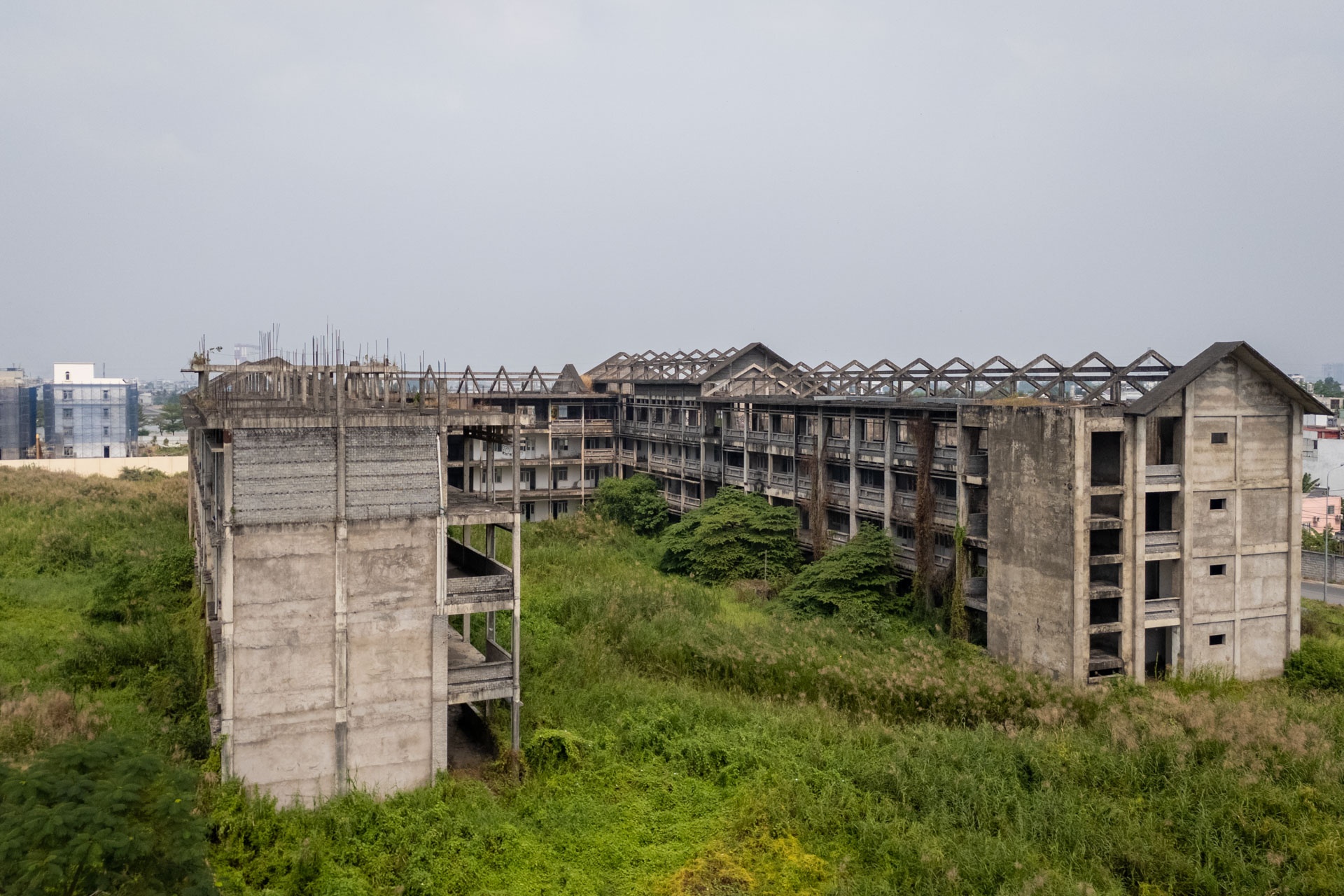 truong bo hoang anh 1