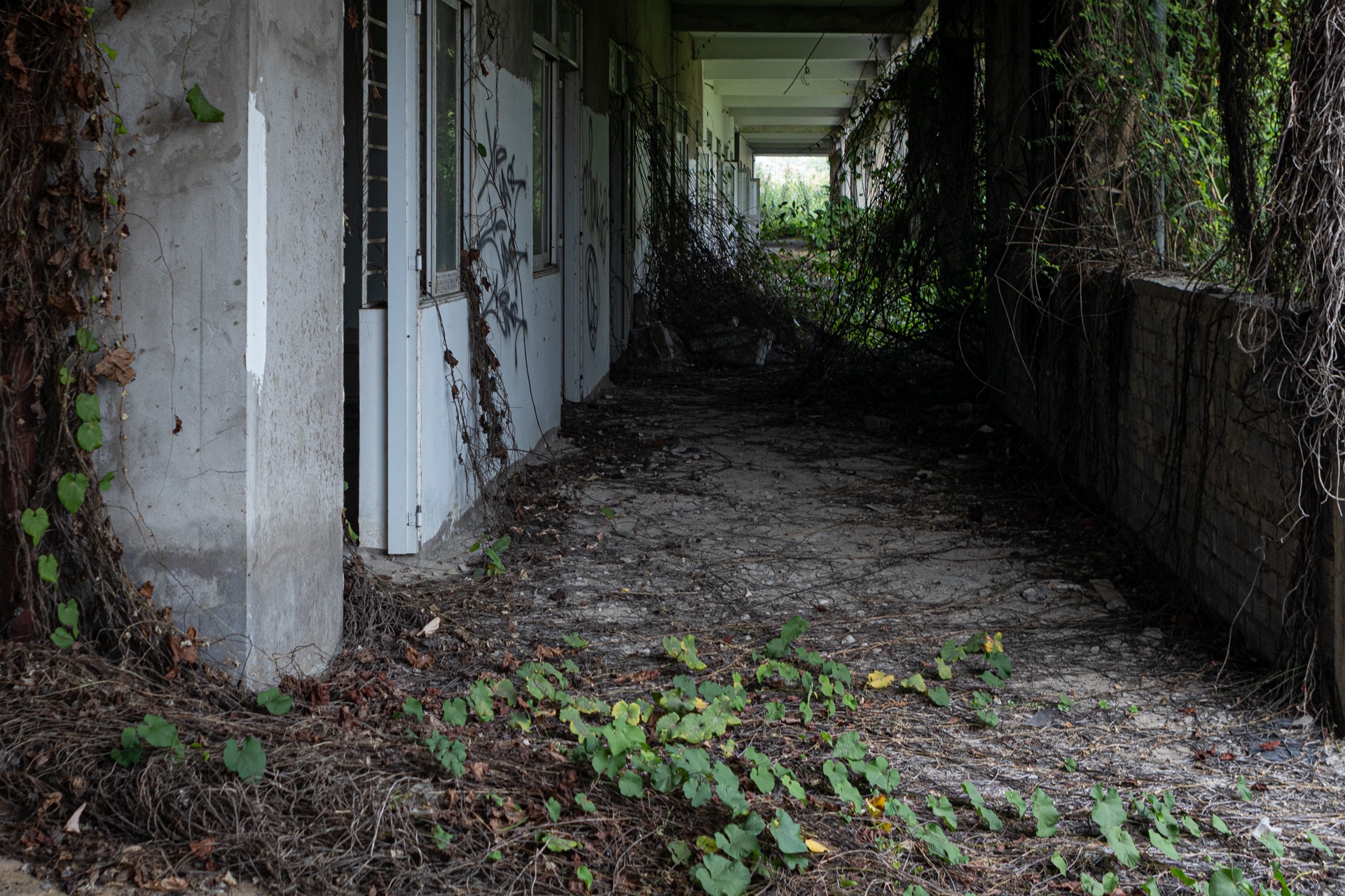 truong bo hoang anh 4