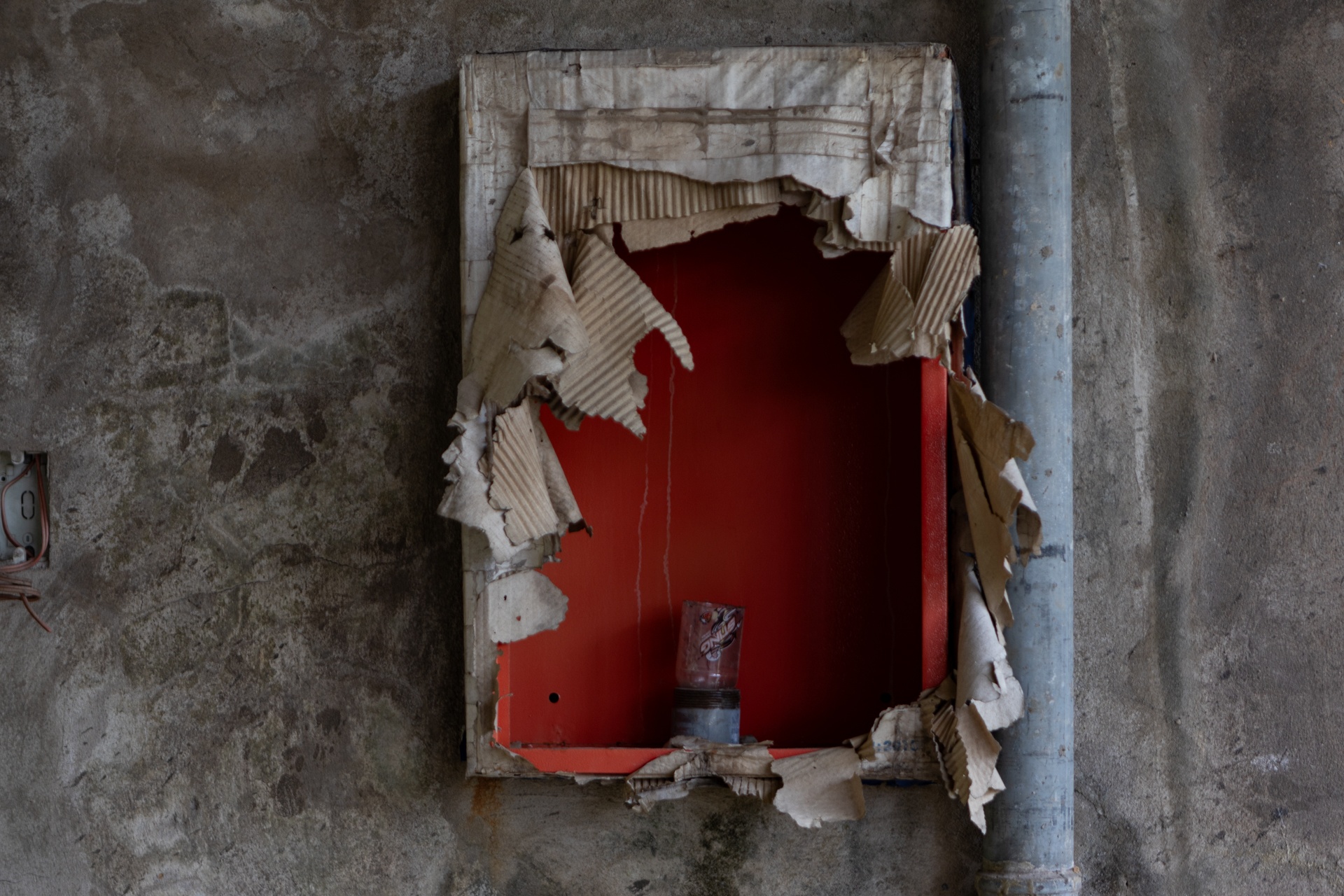 truong bo hoang anh 7