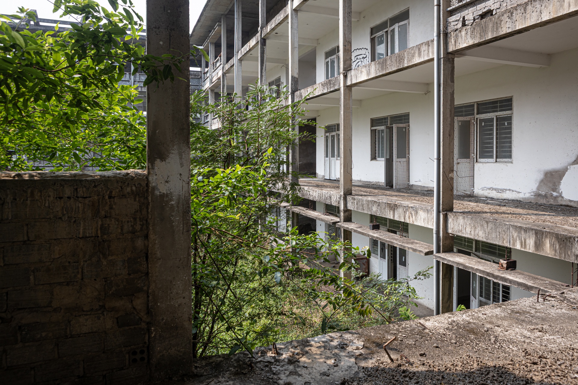 truong bo hoang anh 3