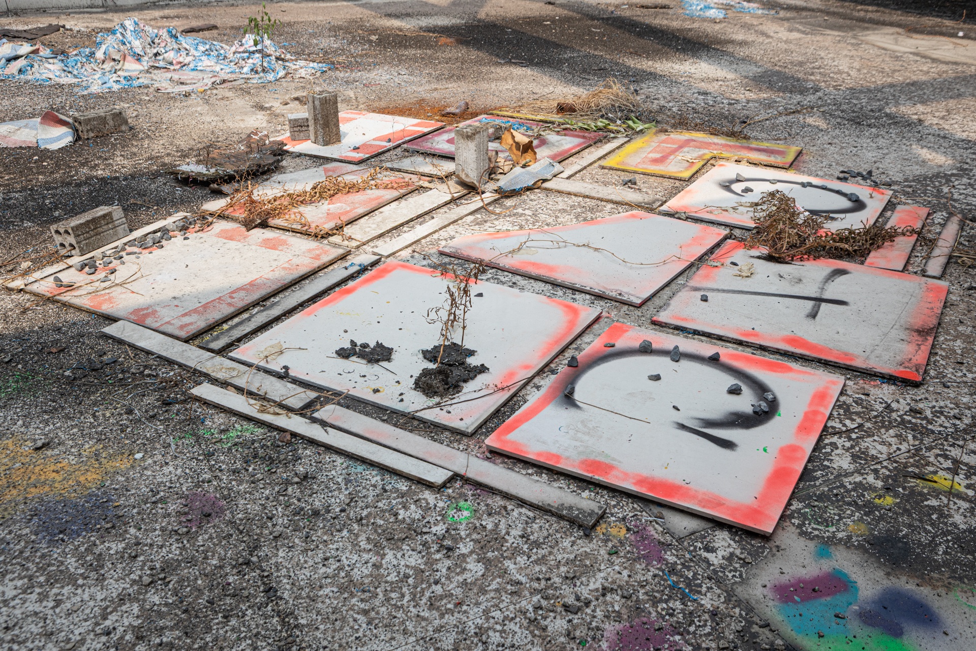 truong bo hoang anh 8