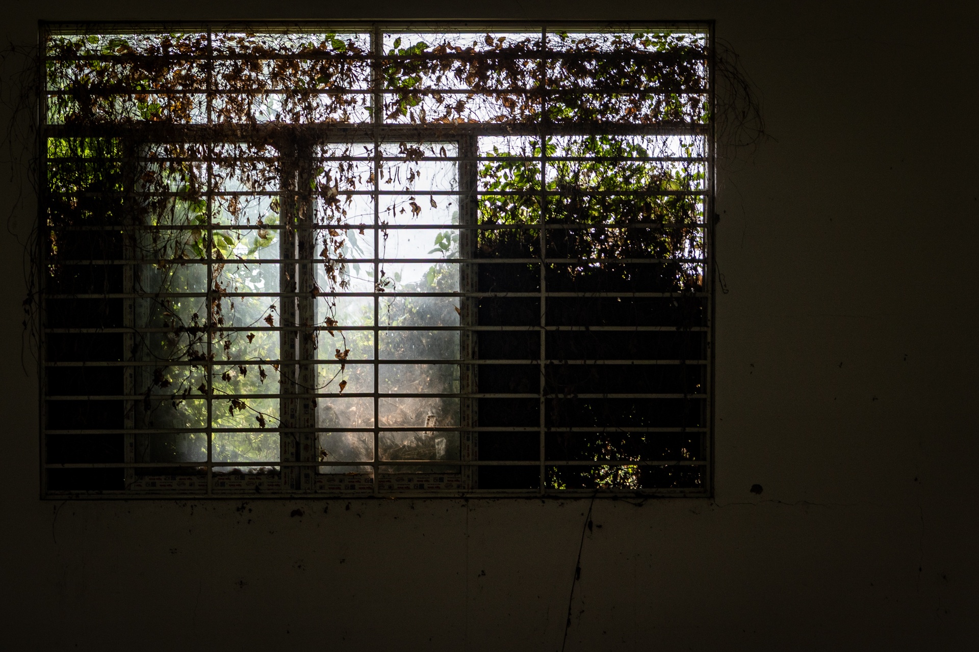 truong bo hoang anh 9