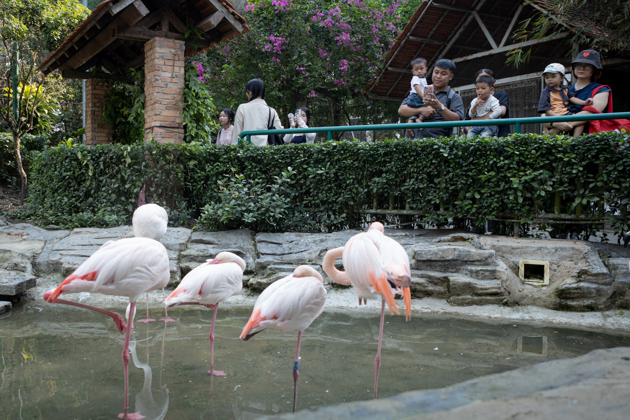 Thao Cam Vien anh 10