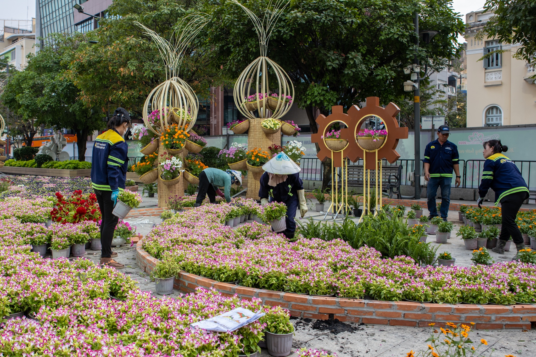 duong hoa Nguyen Hue anh 10