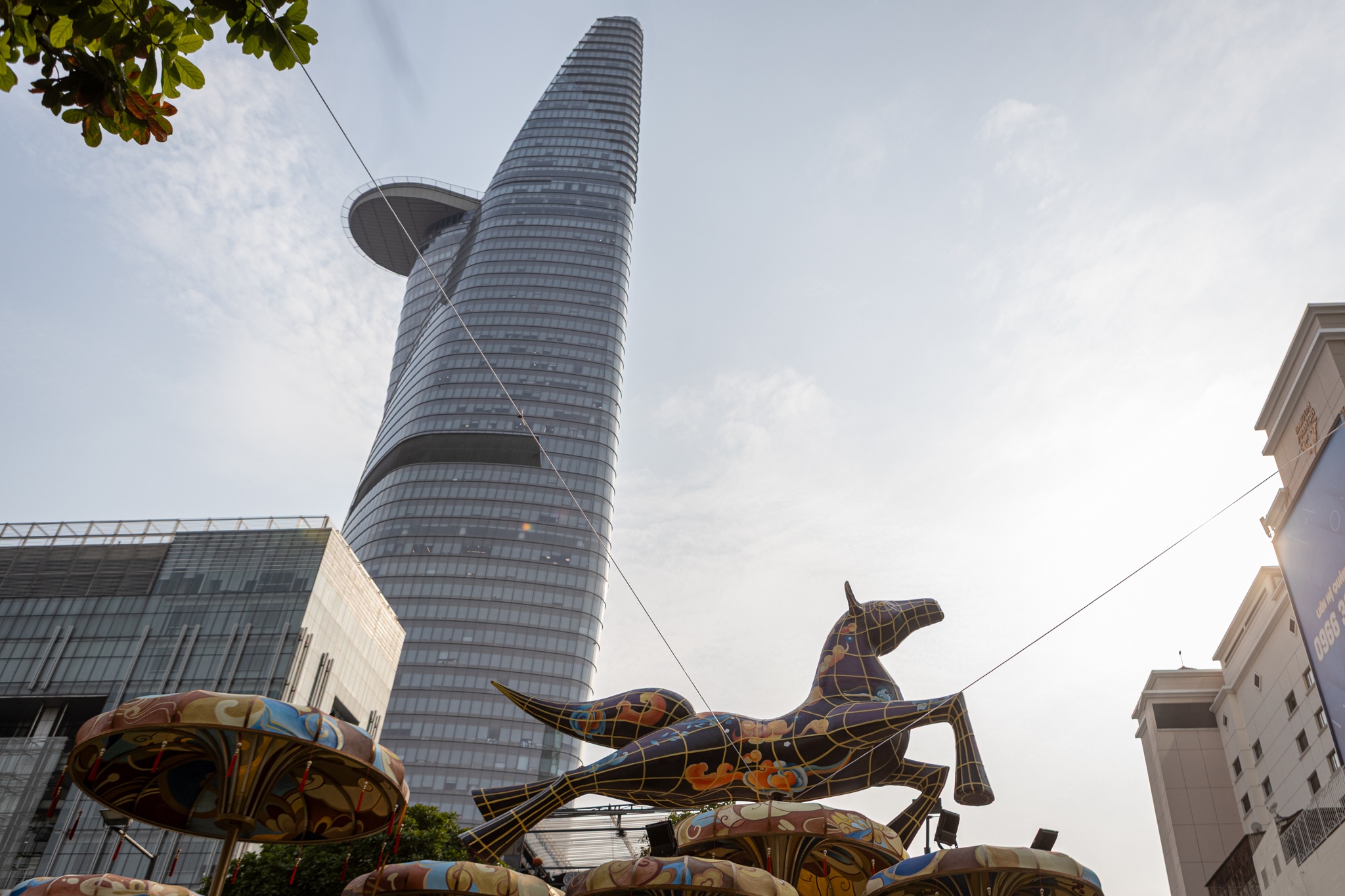 duong hoa Nguyen Hue anh 6