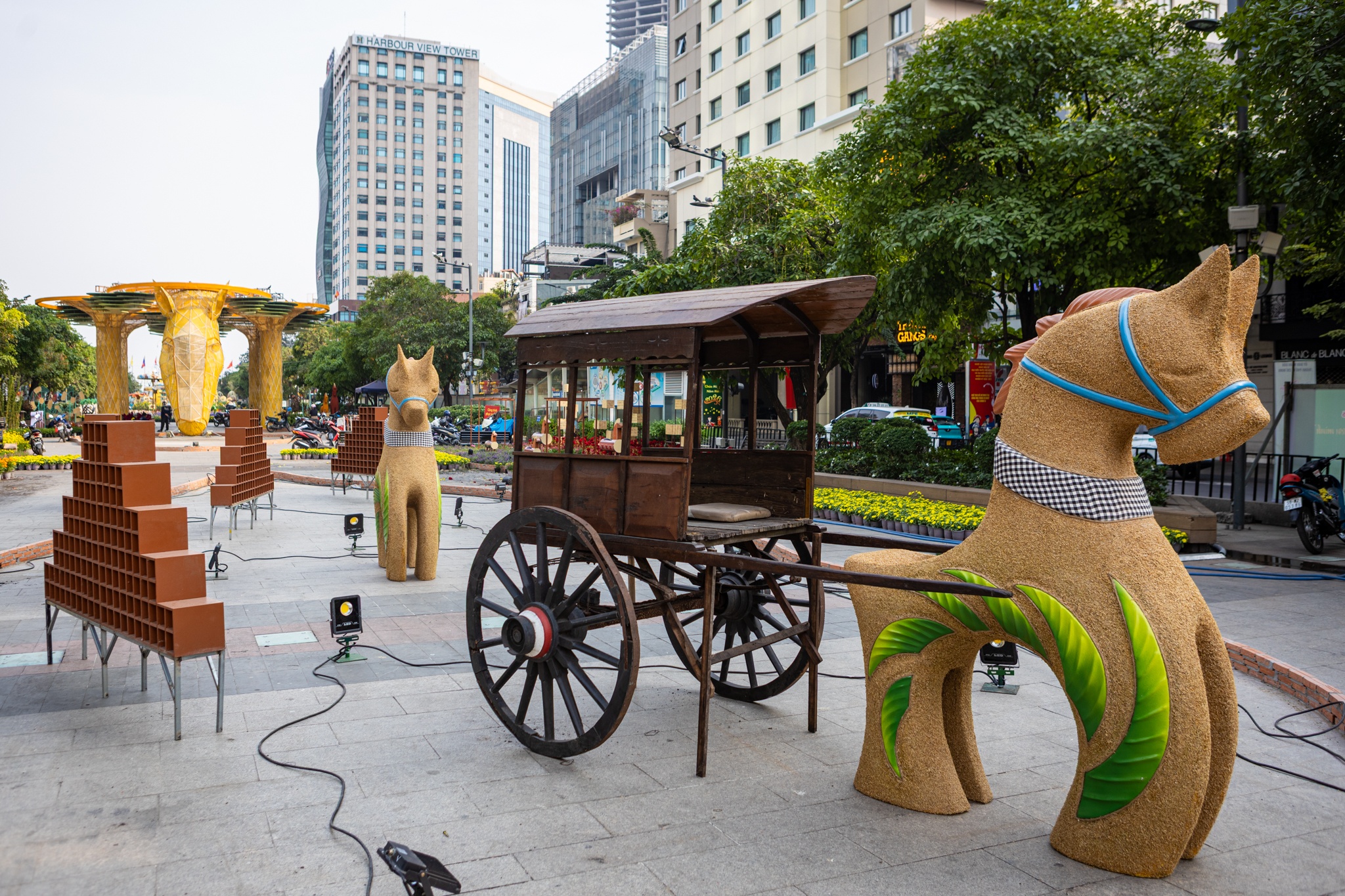 duong hoa Nguyen Hue anh 4