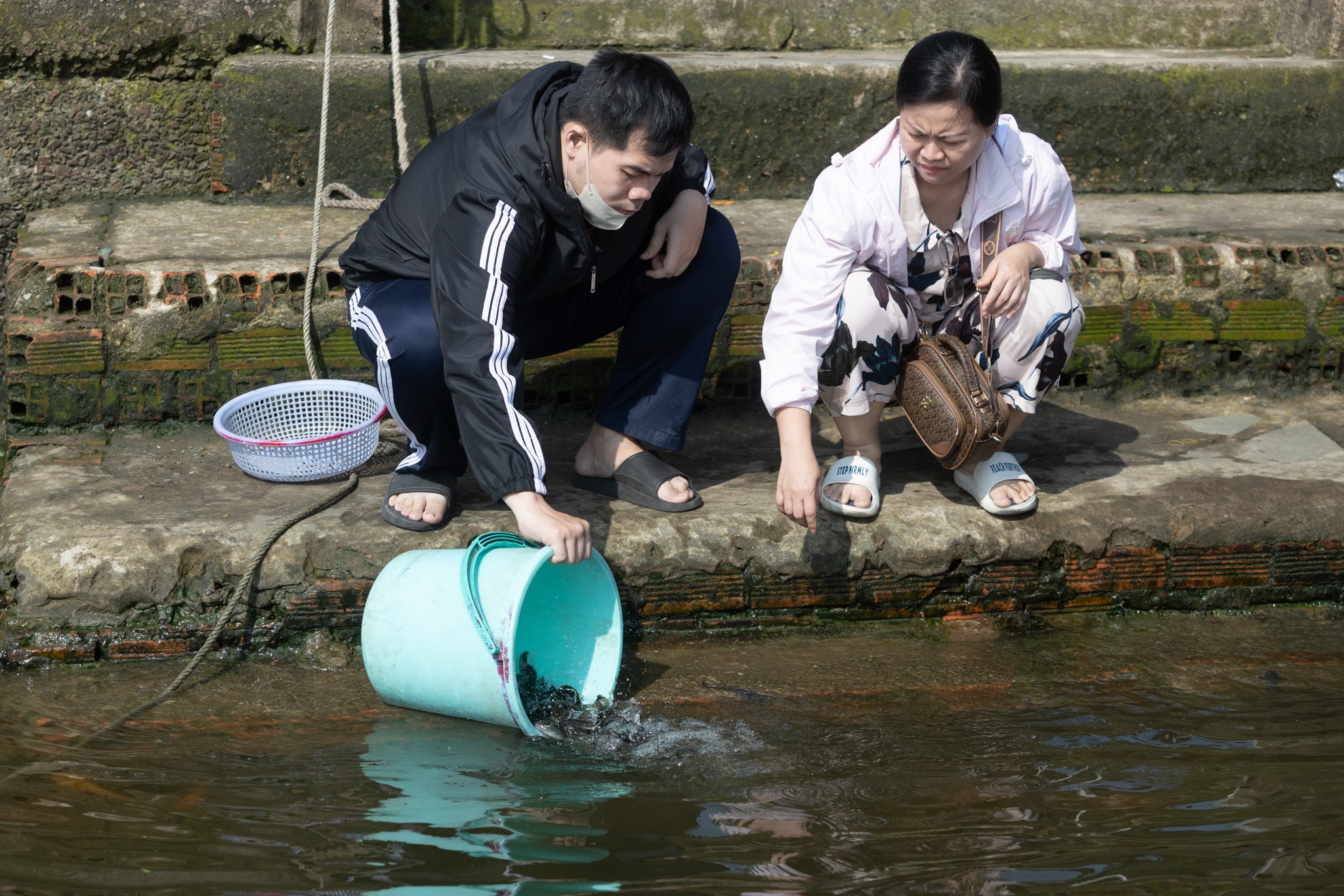 tha ca chep TP.HCM anh 6