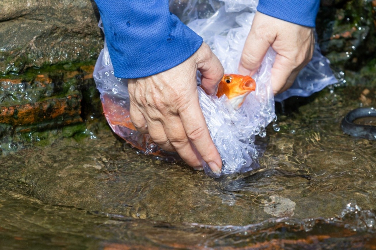 Nguoi dan TP.HCM ra giua song tien ong Cong, ong Tao hinh anh