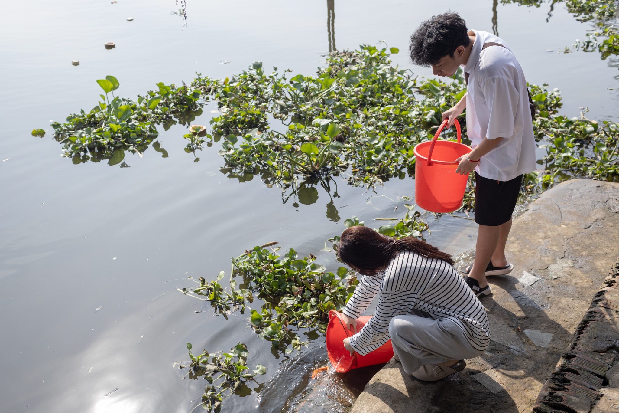 tha ca chep TP.HCM anh 4