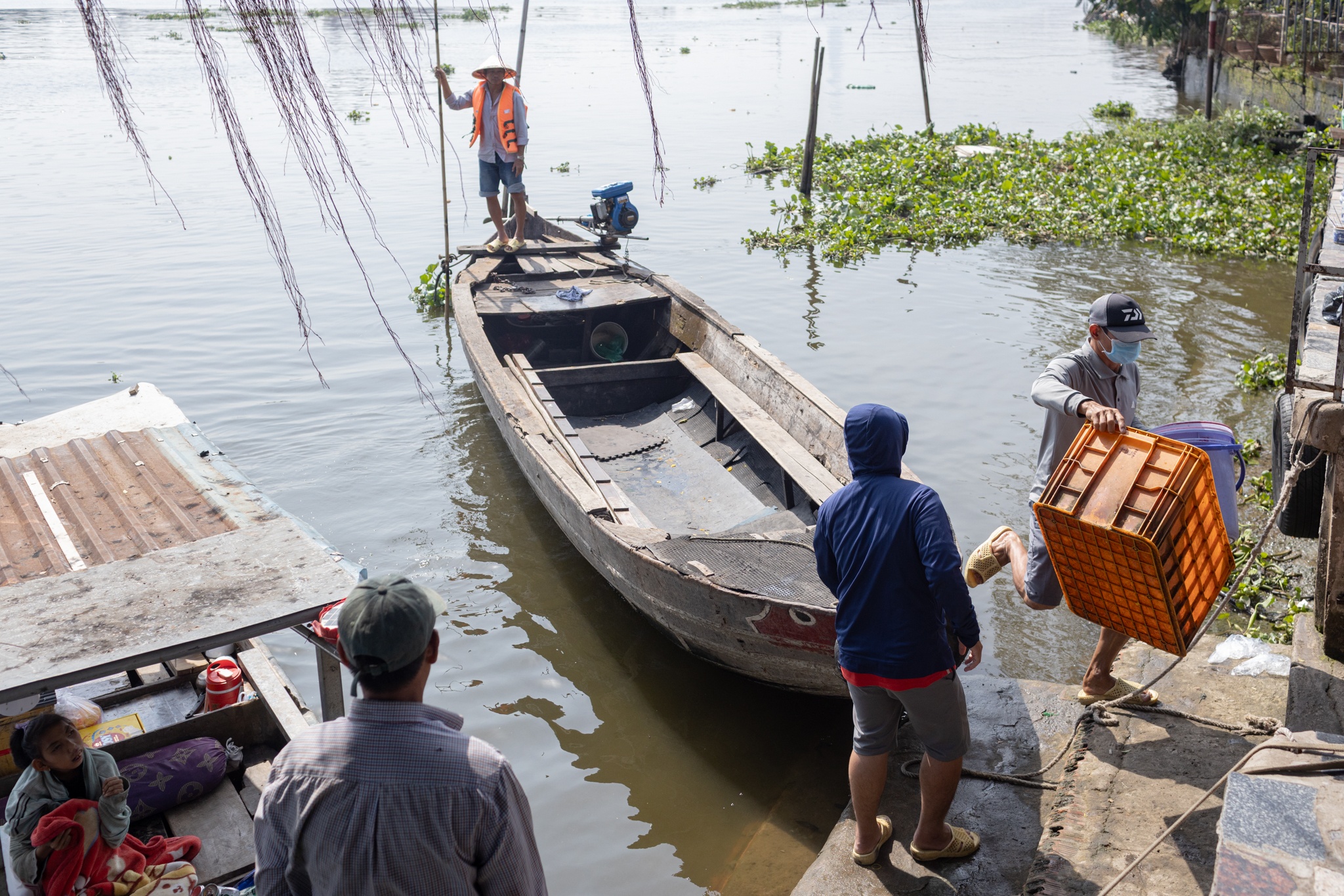 tha ca chep TP.HCM anh 8