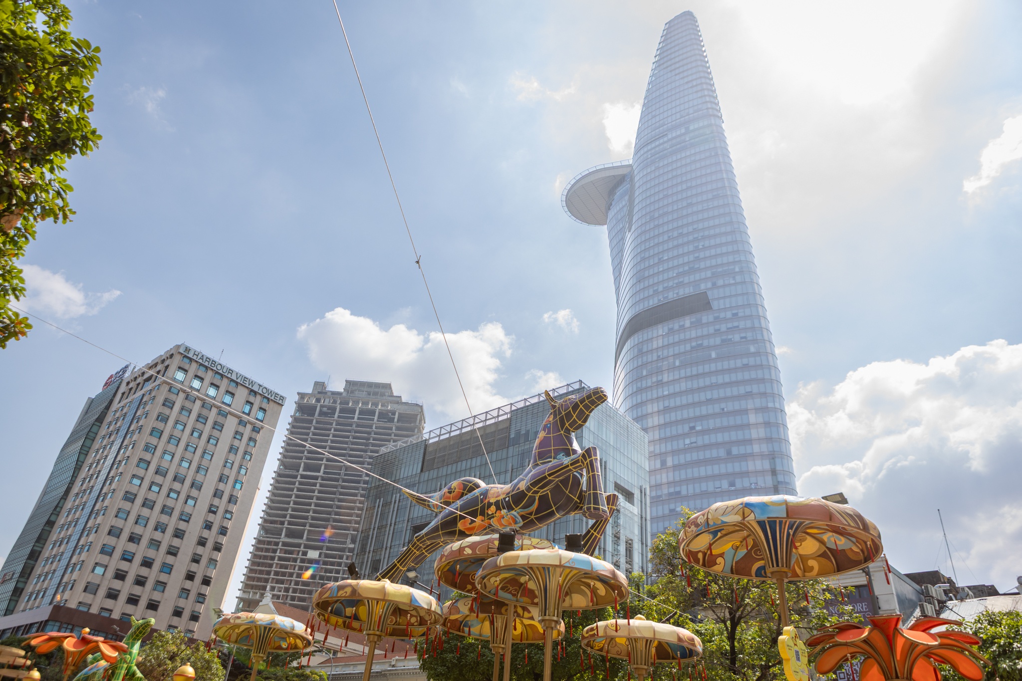 duong hoa Nguyen Hue anh 9