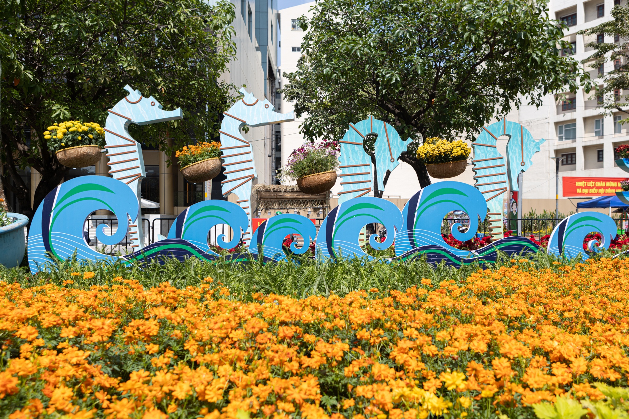 duong hoa Nguyen Hue anh 6