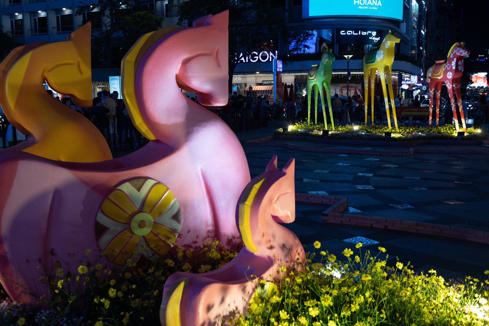 duong hoa Nguyen Hue anh 15