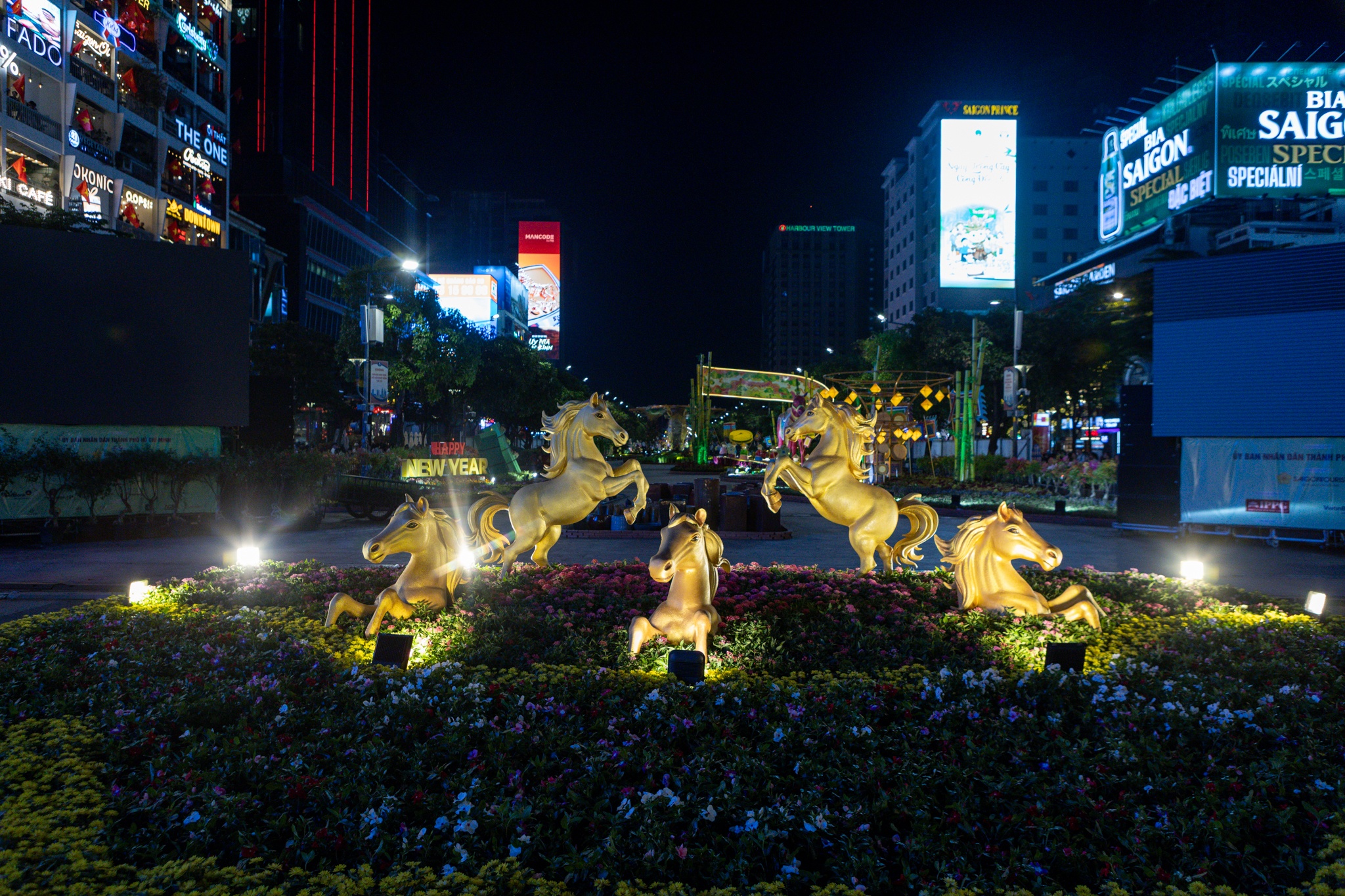 duong hoa Nguyen Hue anh 18