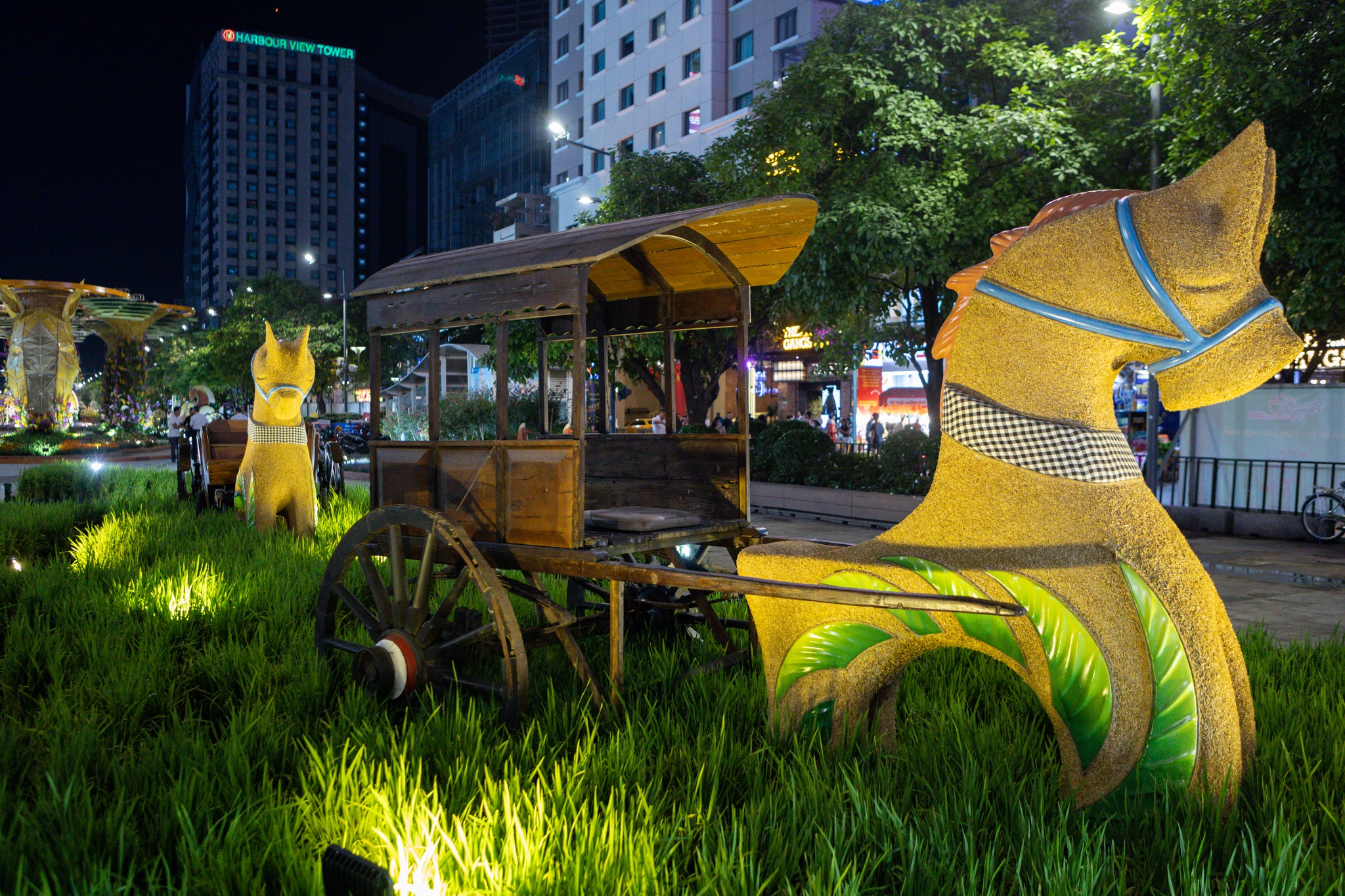 duong hoa Nguyen Hue anh 17