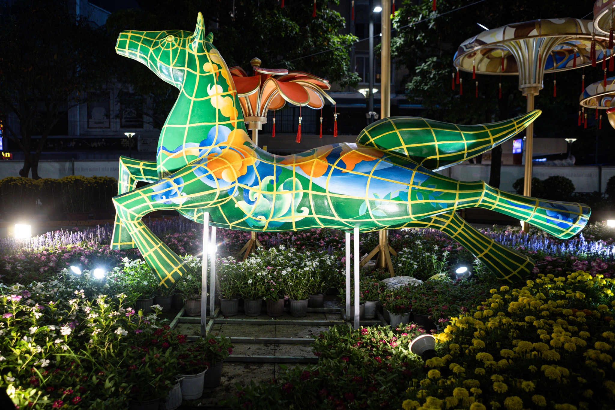 duong hoa Nguyen Hue anh 13