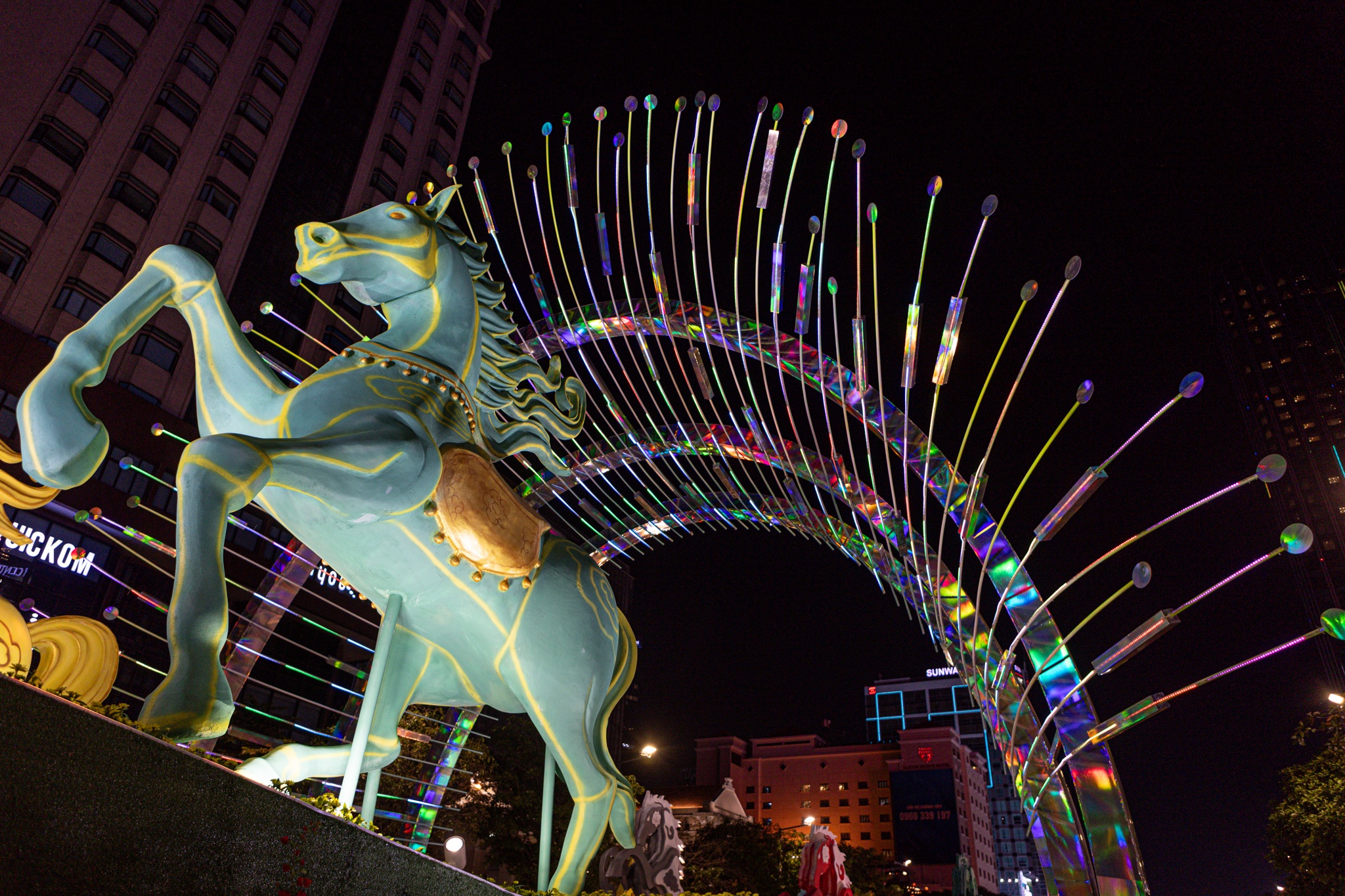 duong hoa Nguyen Hue anh 16