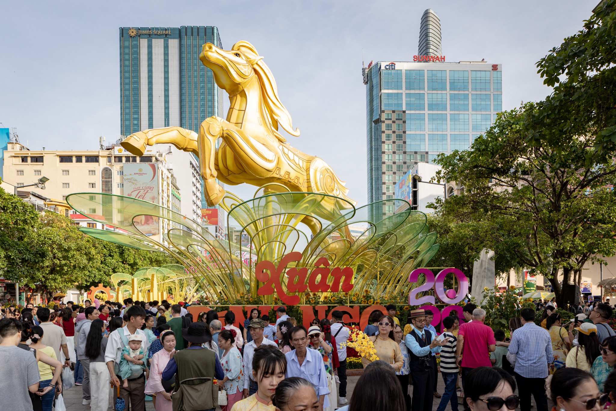 duong hoa Nguyen Hue anh 6