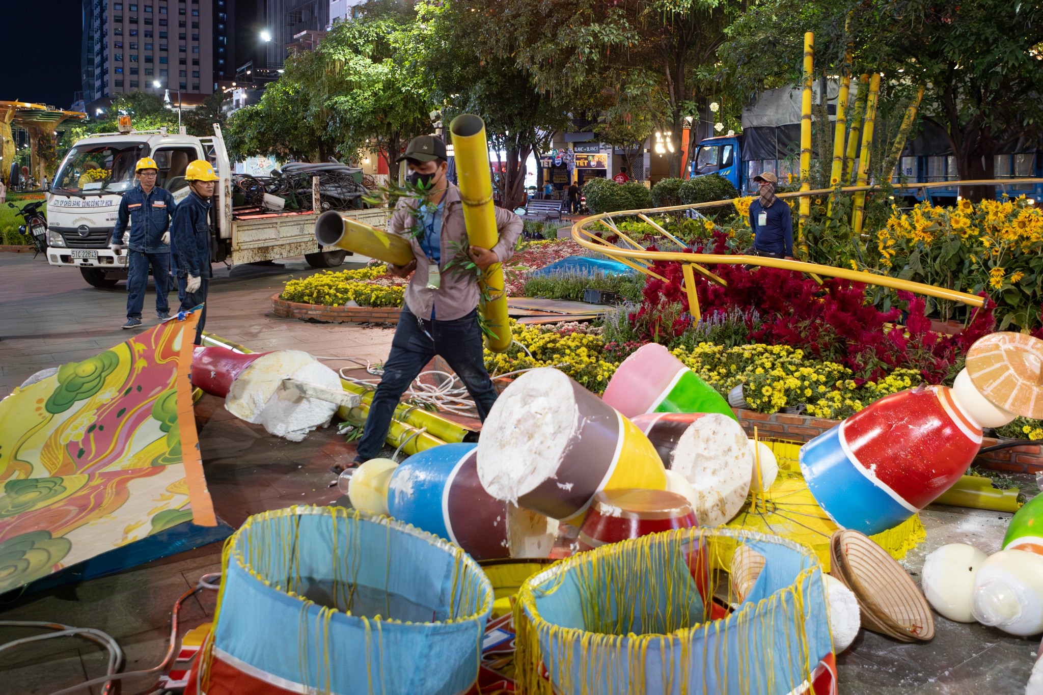 duong hoa Nguyen Hue anh 7