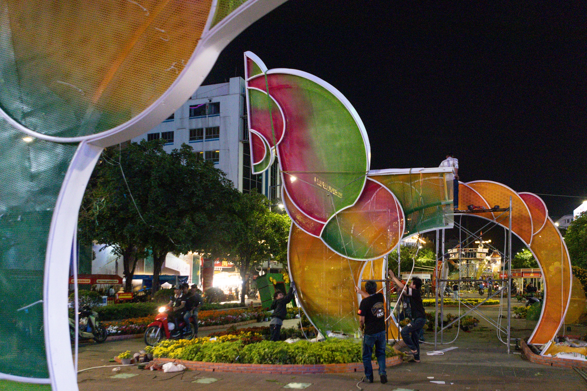 duong hoa Nguyen Hue anh 6