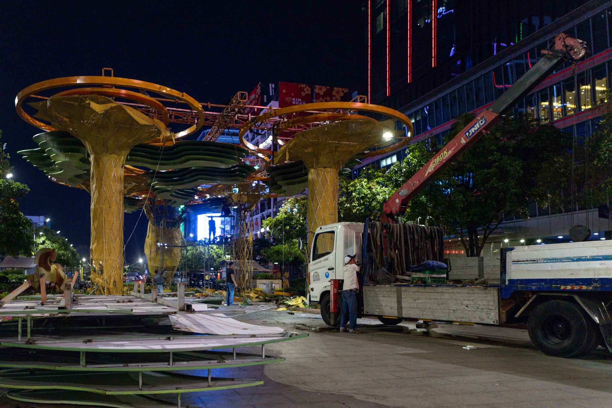 duong hoa Nguyen Hue anh 4