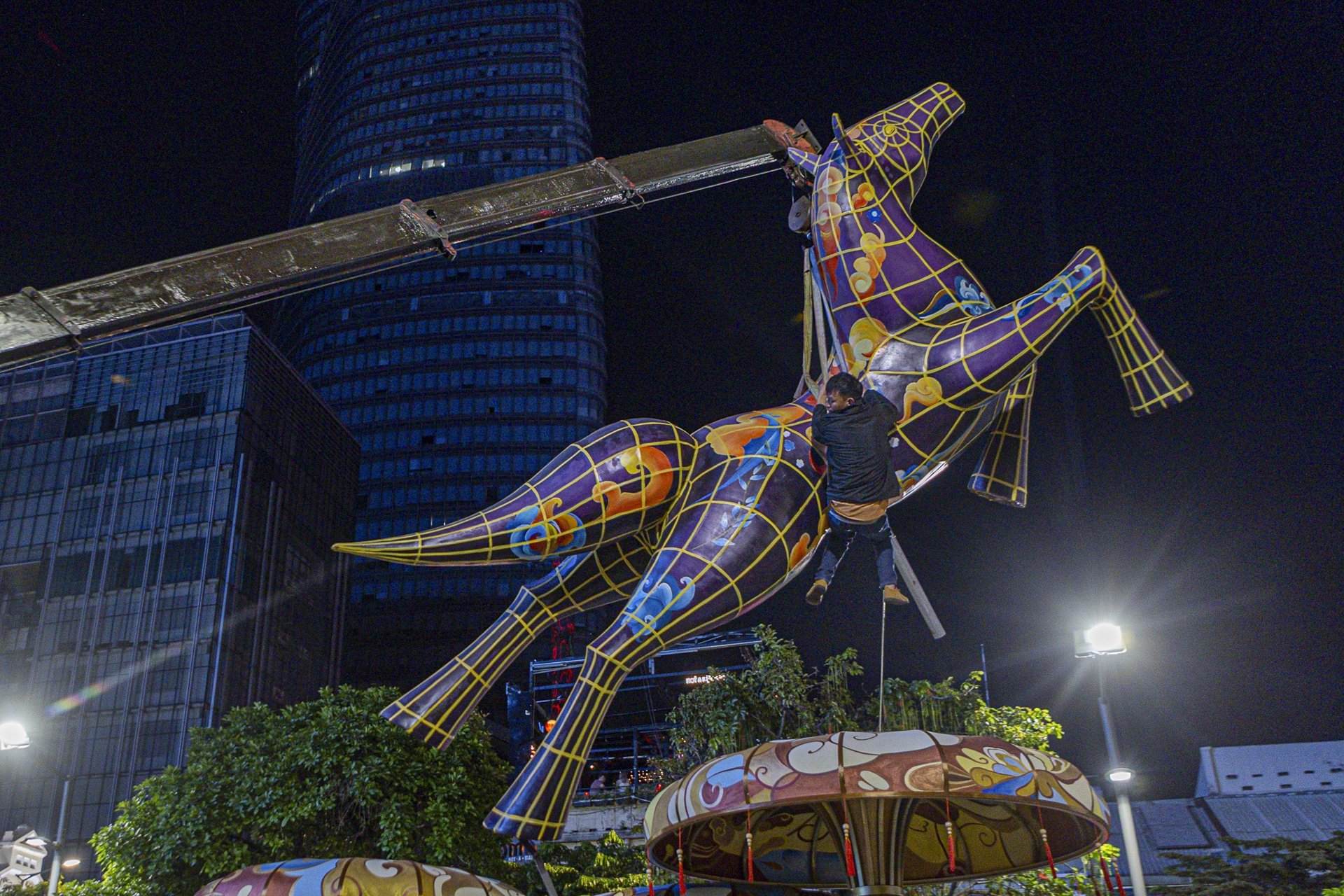 duong hoa Nguyen Hue anh 1