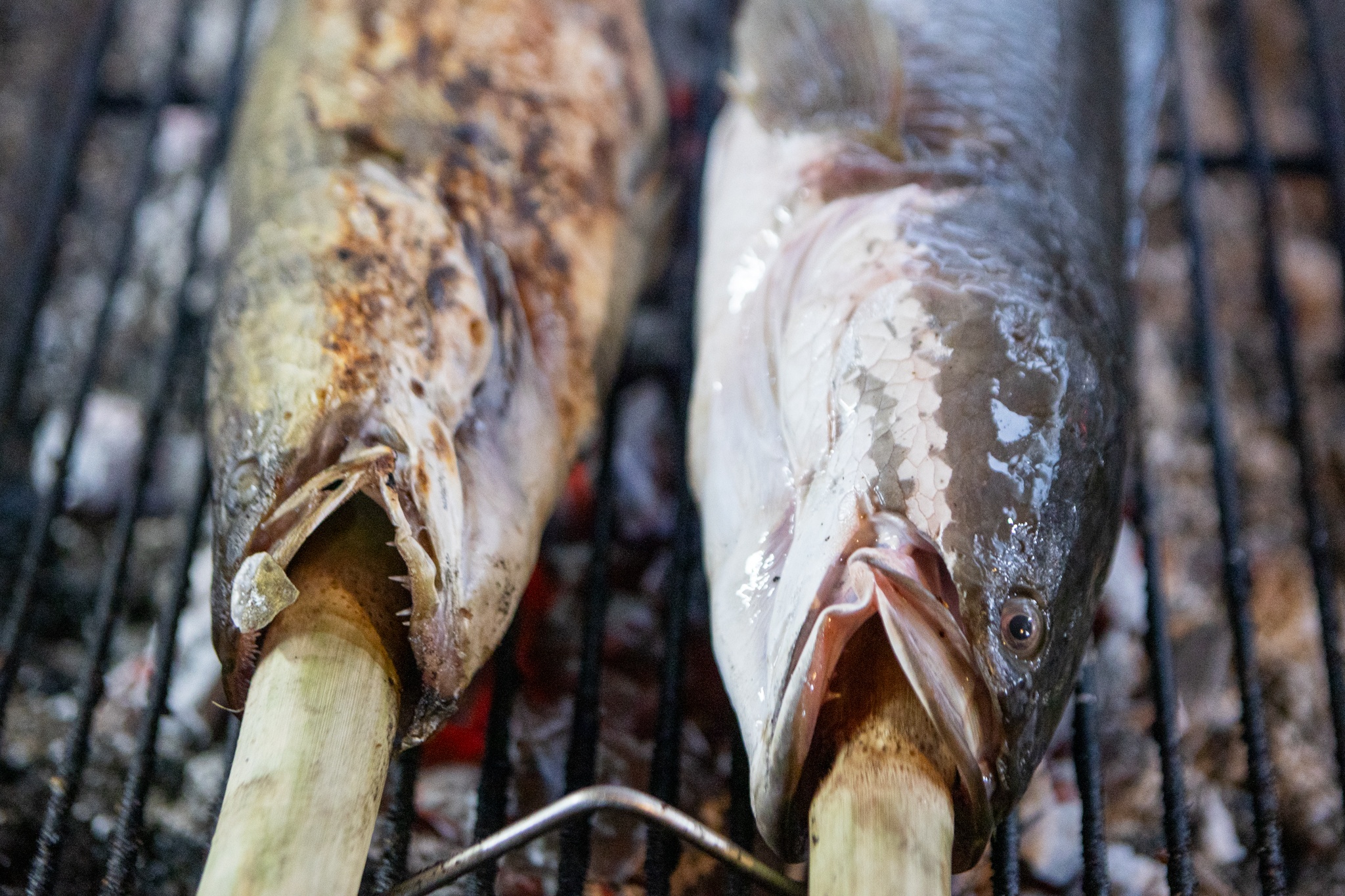 ca loc nuong TP.HCM anh 6