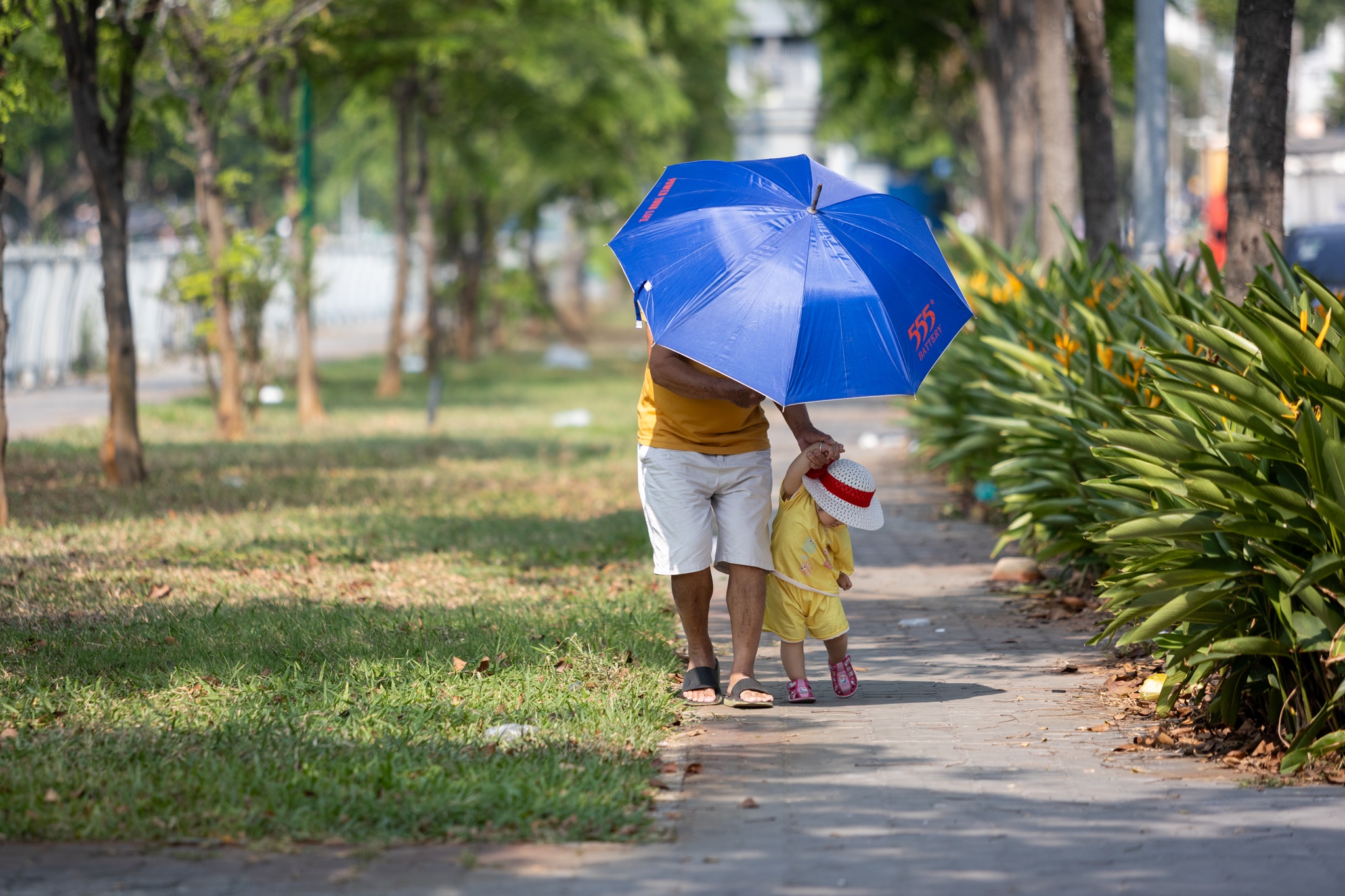 kenh Hang Bang anh 7