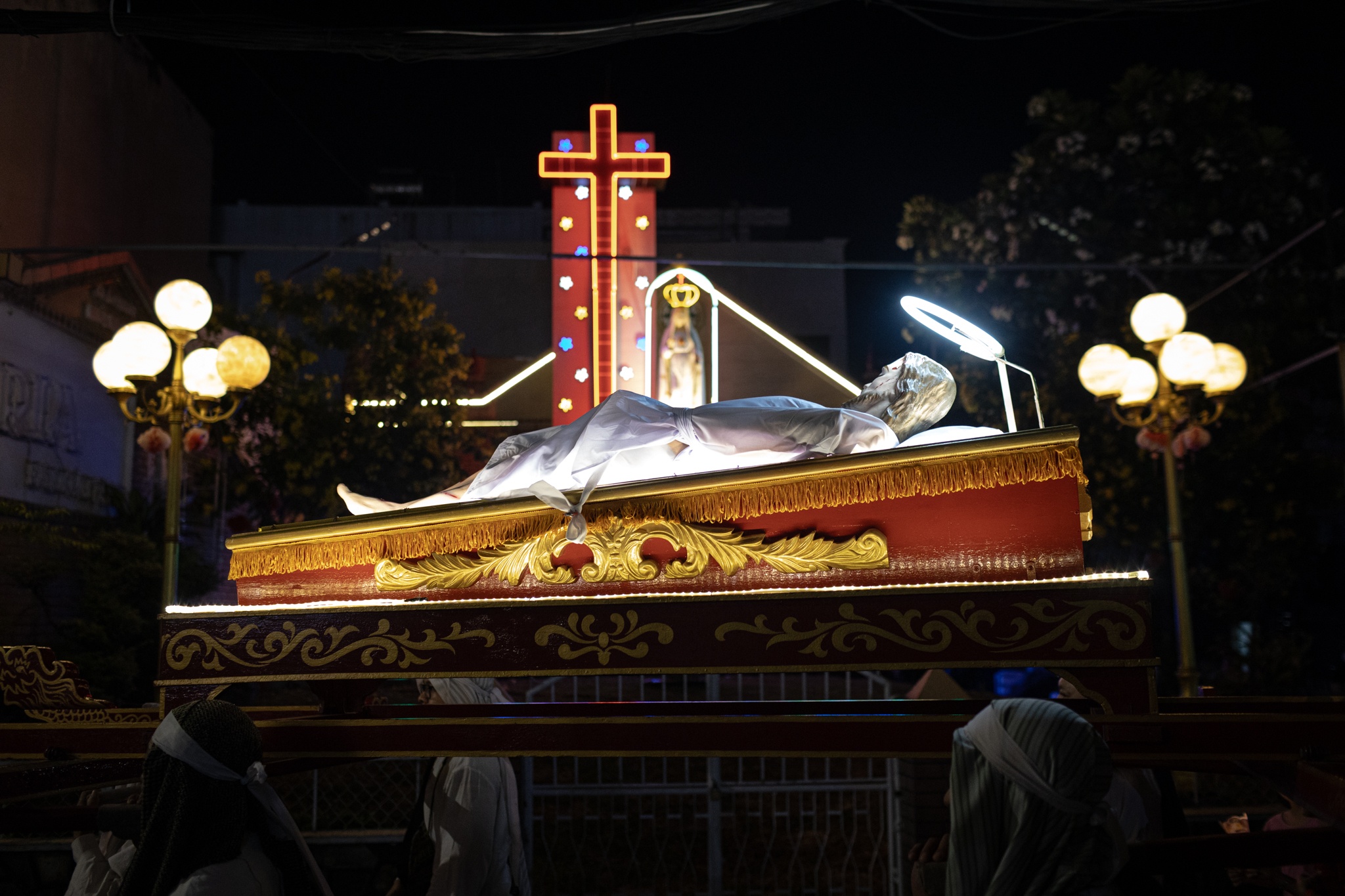 dai le Phuc Sinh anh 8