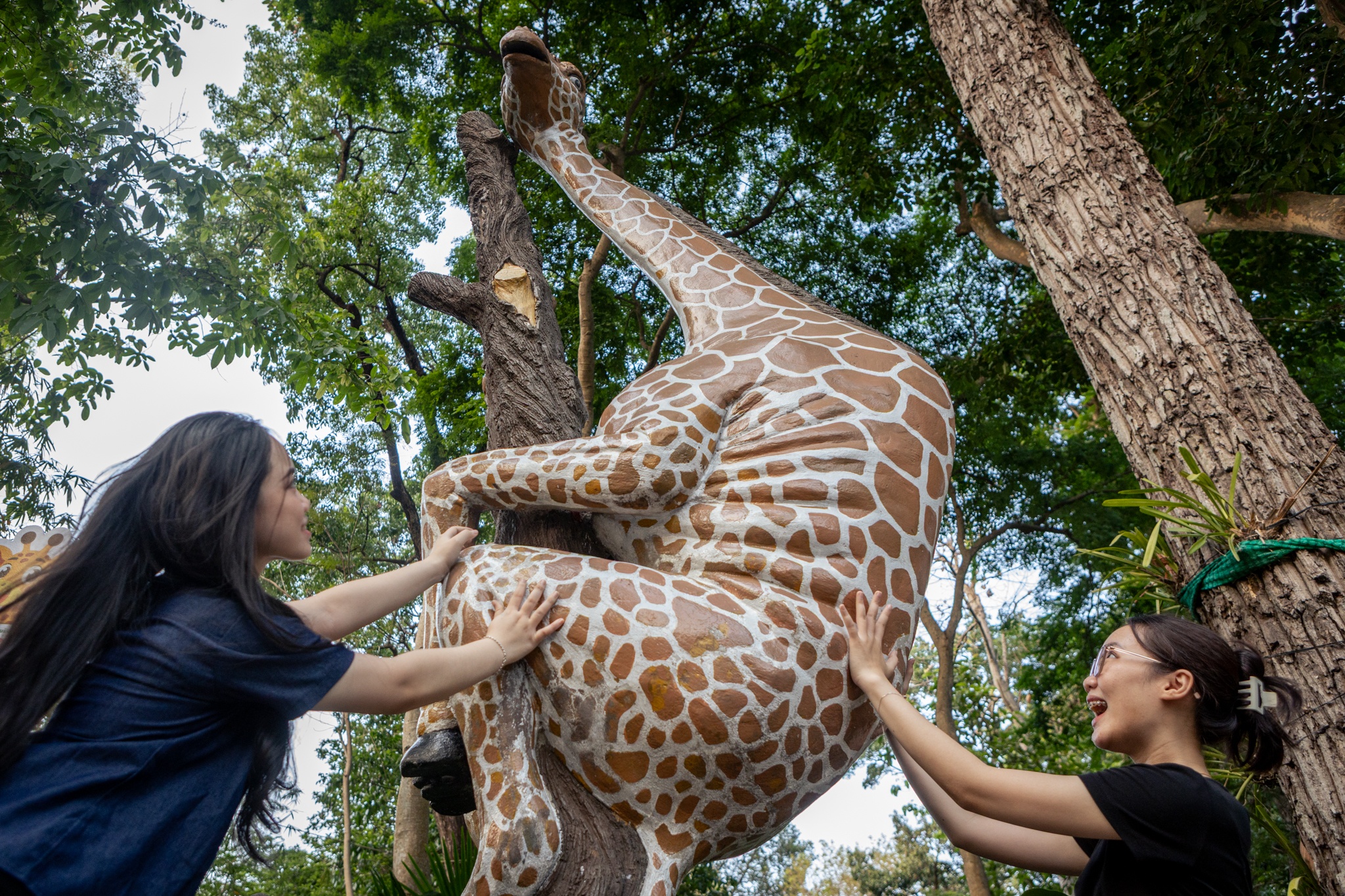 tuong thu Thao Cam Vien anh 12