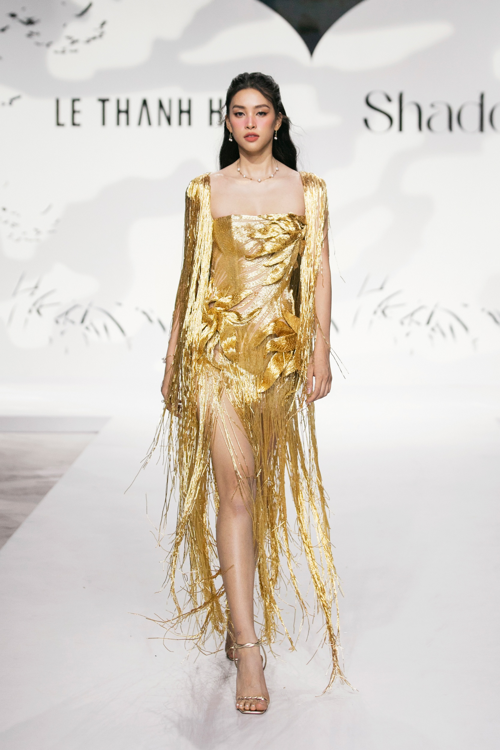 Show diễn Lê Thanh Hòa ảnh 7 Show dien Le Thanh Hoa anh 7