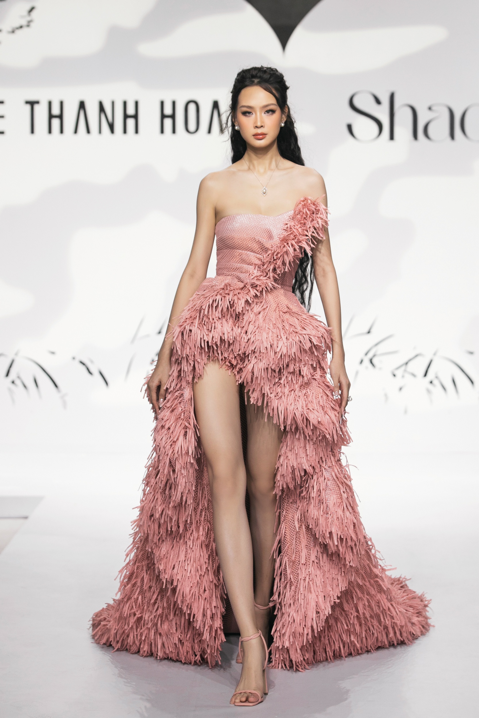 Show diễn Lê Thanh Hòa ảnh 6 Show dien Le Thanh Hoa anh 6