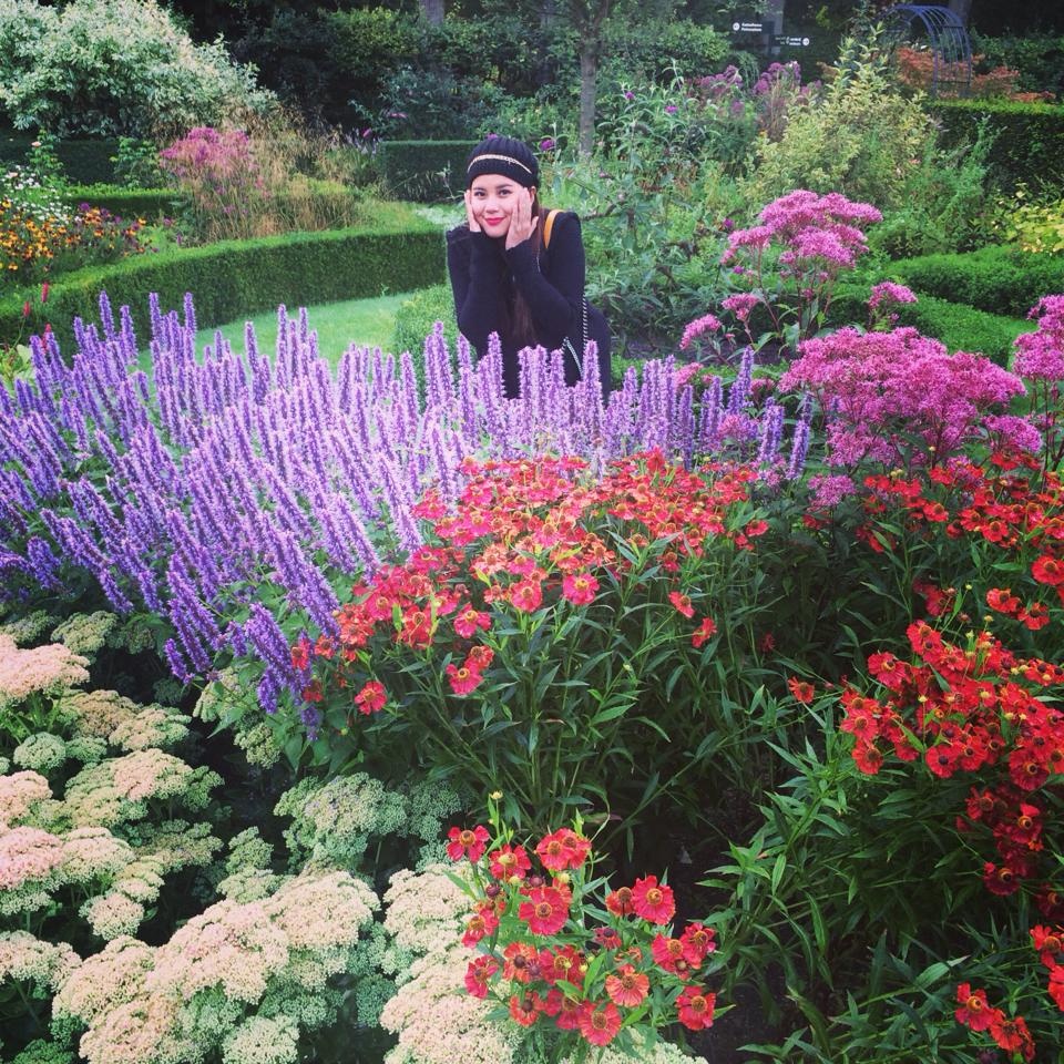 Bình minh ở Hà Lan thật đẹp với những bông hoa muôn màu sắc và không khí trong lành