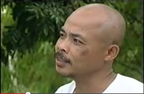 Han Van Tinh den voi khan gia vai dien truyen hinh anh 4