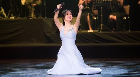 Hong Nhung quy tren san khau tuong nho Thanh Tung hinh anh