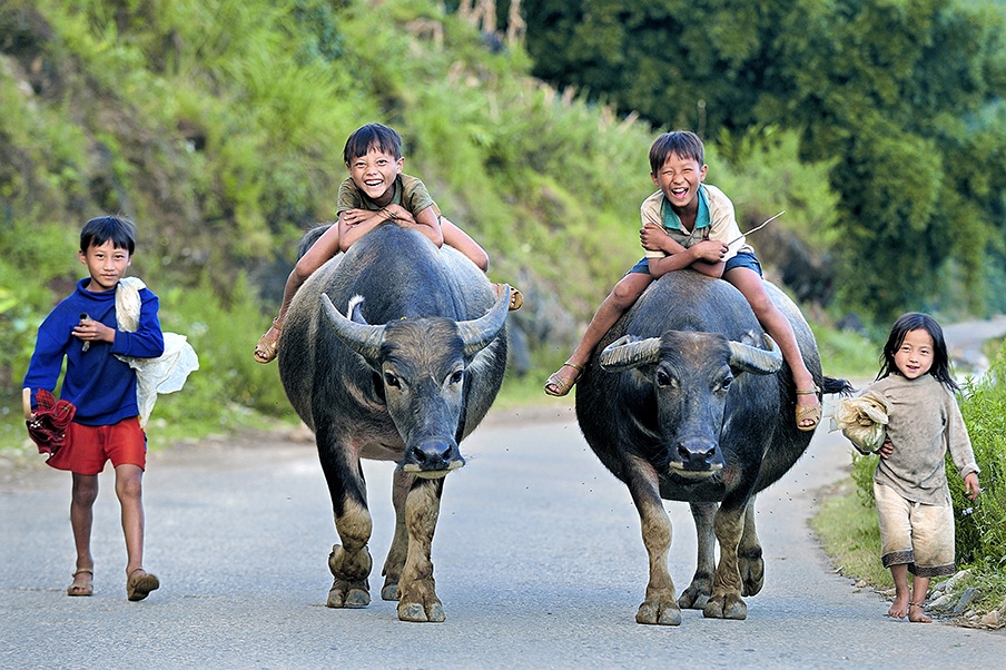 Nha bao, nghe si to chuc trien lam anh giup tre em ngheo hinh anh