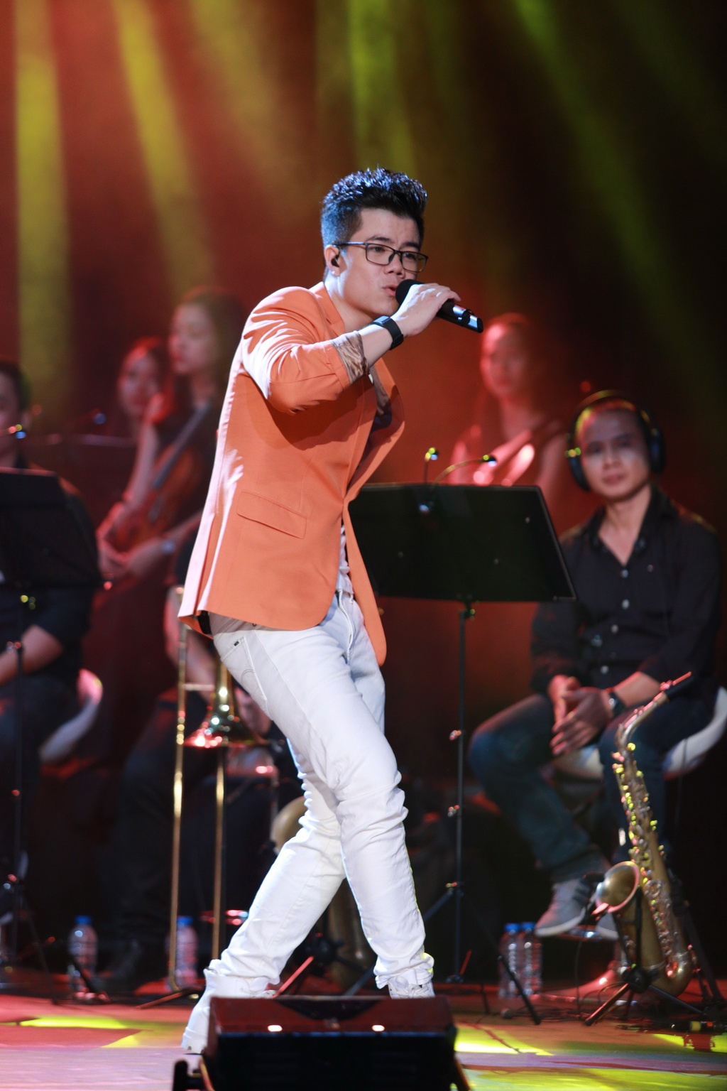 Dinh Manh Ninh live anh 8