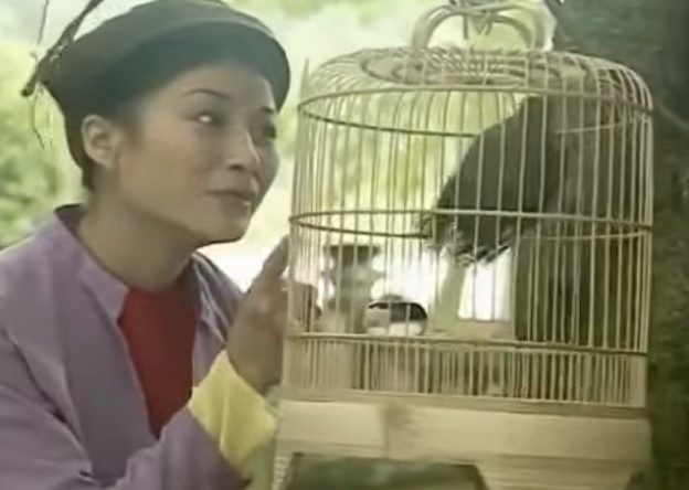 vai Cam an tuong anh 4