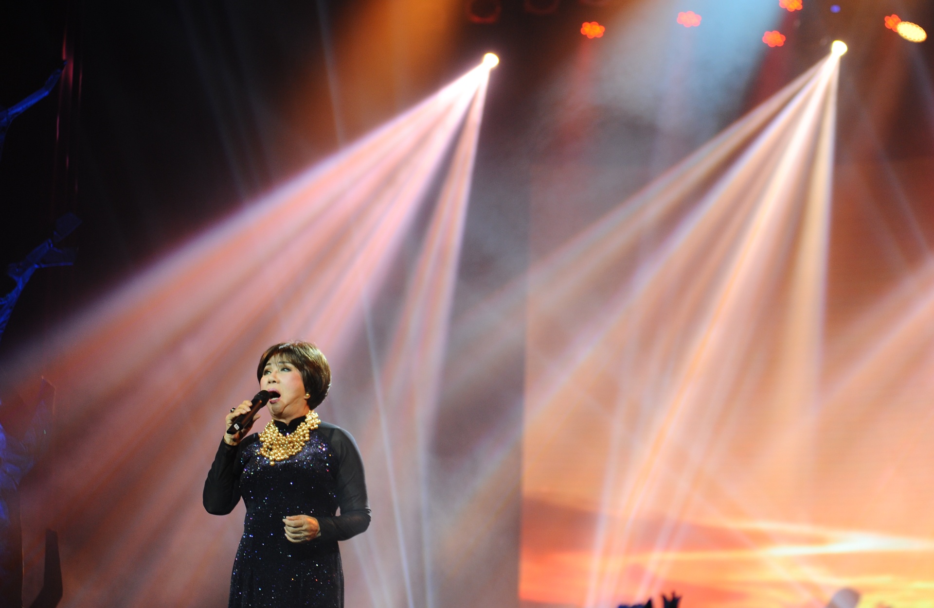 Khanh Ly tiec rang khenh anh 8