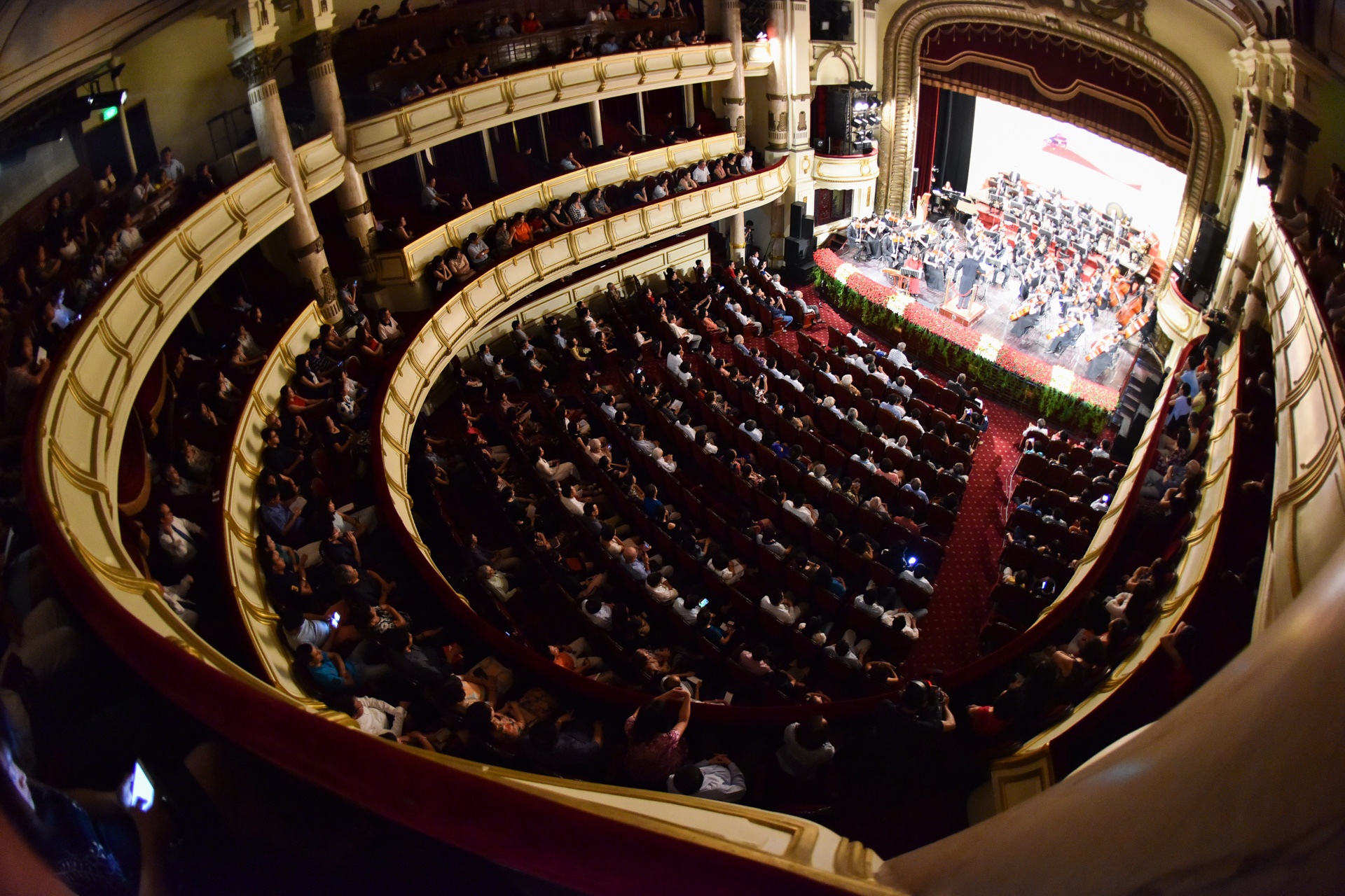 Dieu con mai 2016 anh 1